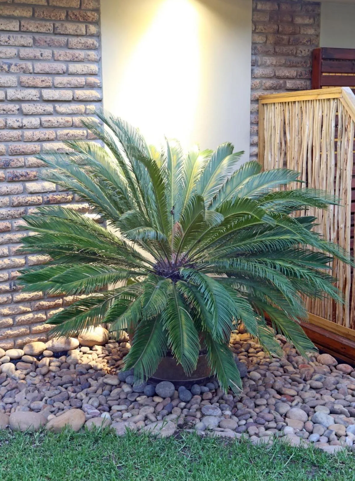 Garden in Alkantmooi Private Nature Reserve - Keursee