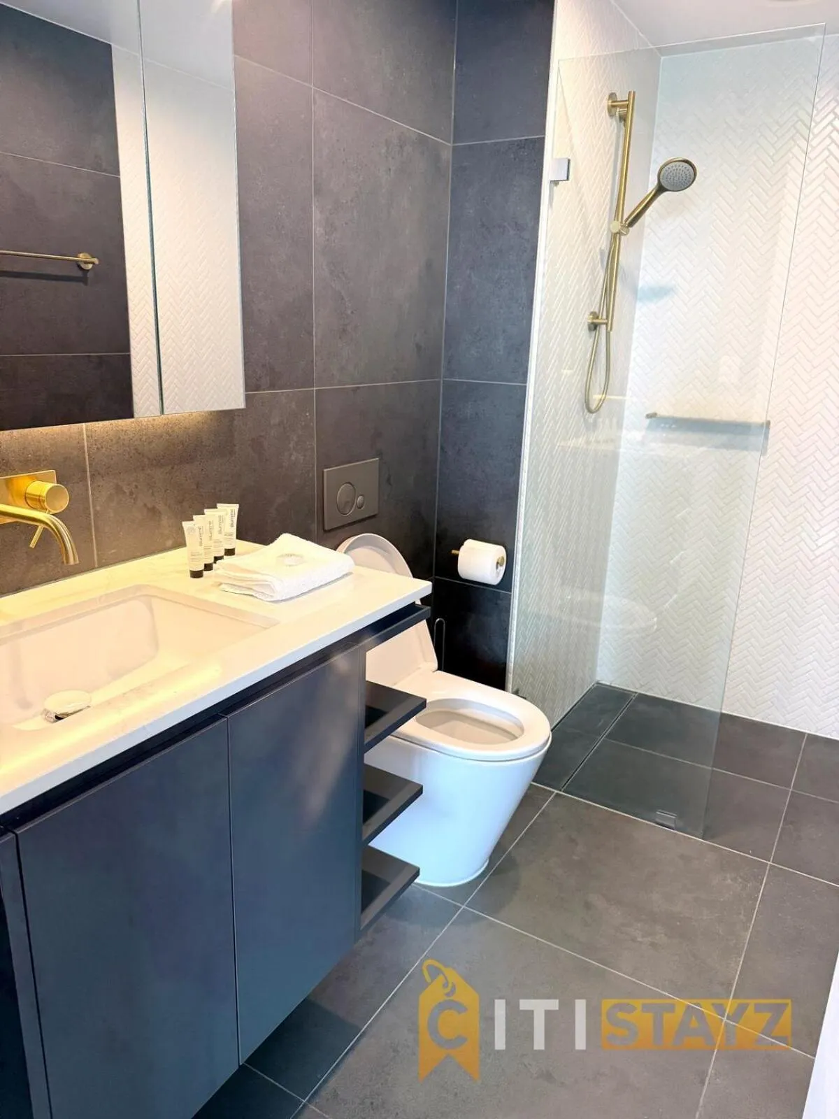 Beauty in Blue! 1Bd 1Bth 1Csp - CBD Location