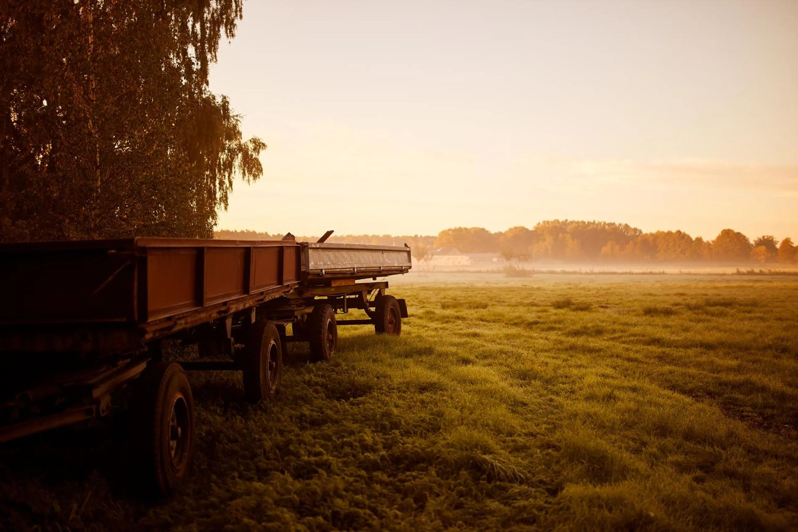 Natural landscape in Paulinenhof
