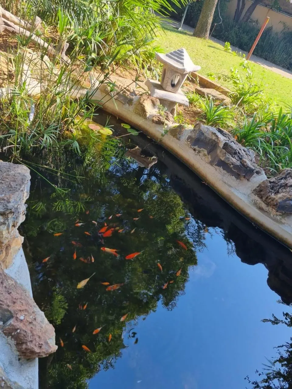 Garden in Airport Inn Bed and Breakfast