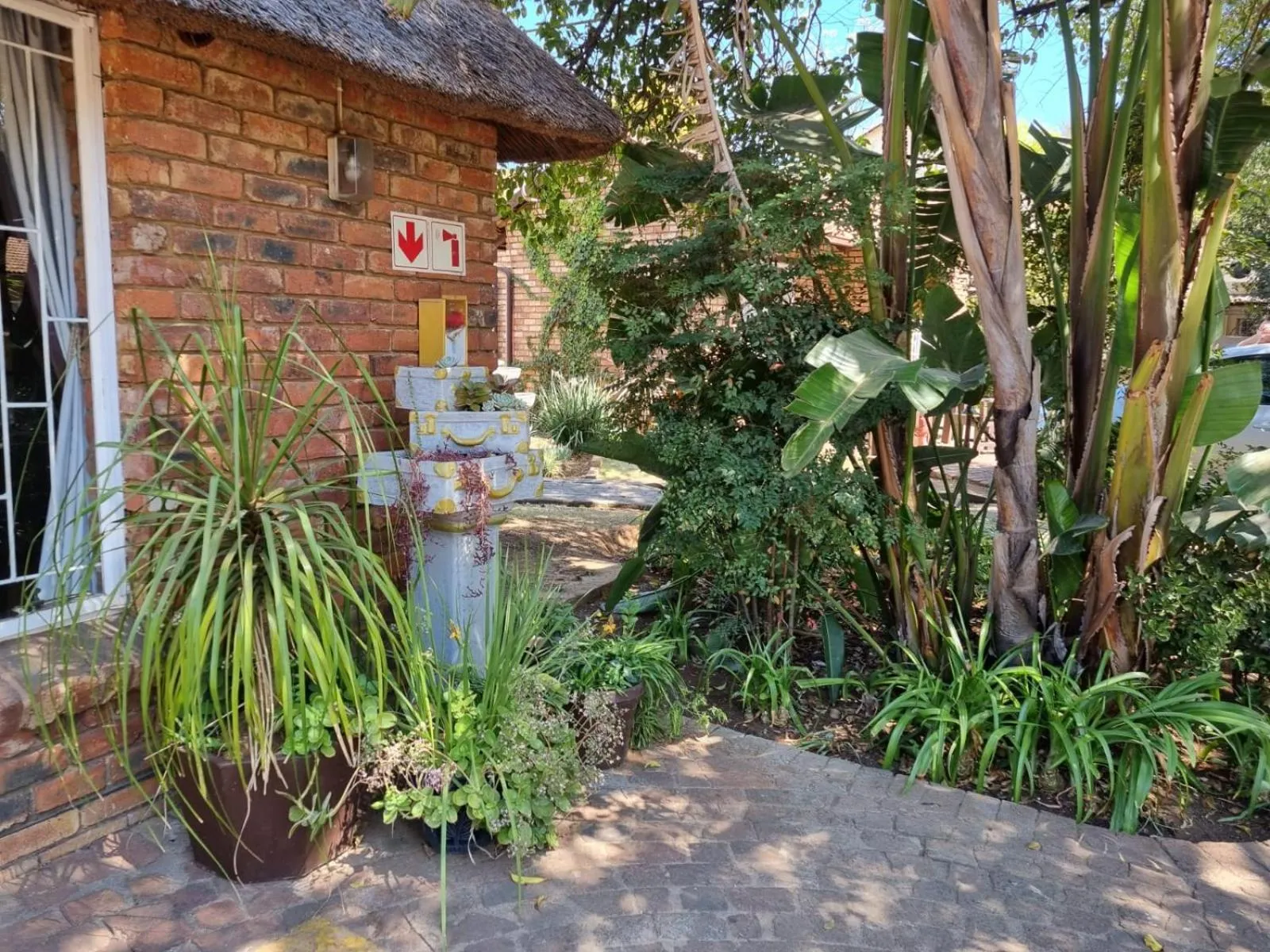 Garden view in Airport Inn Bed and Breakfast