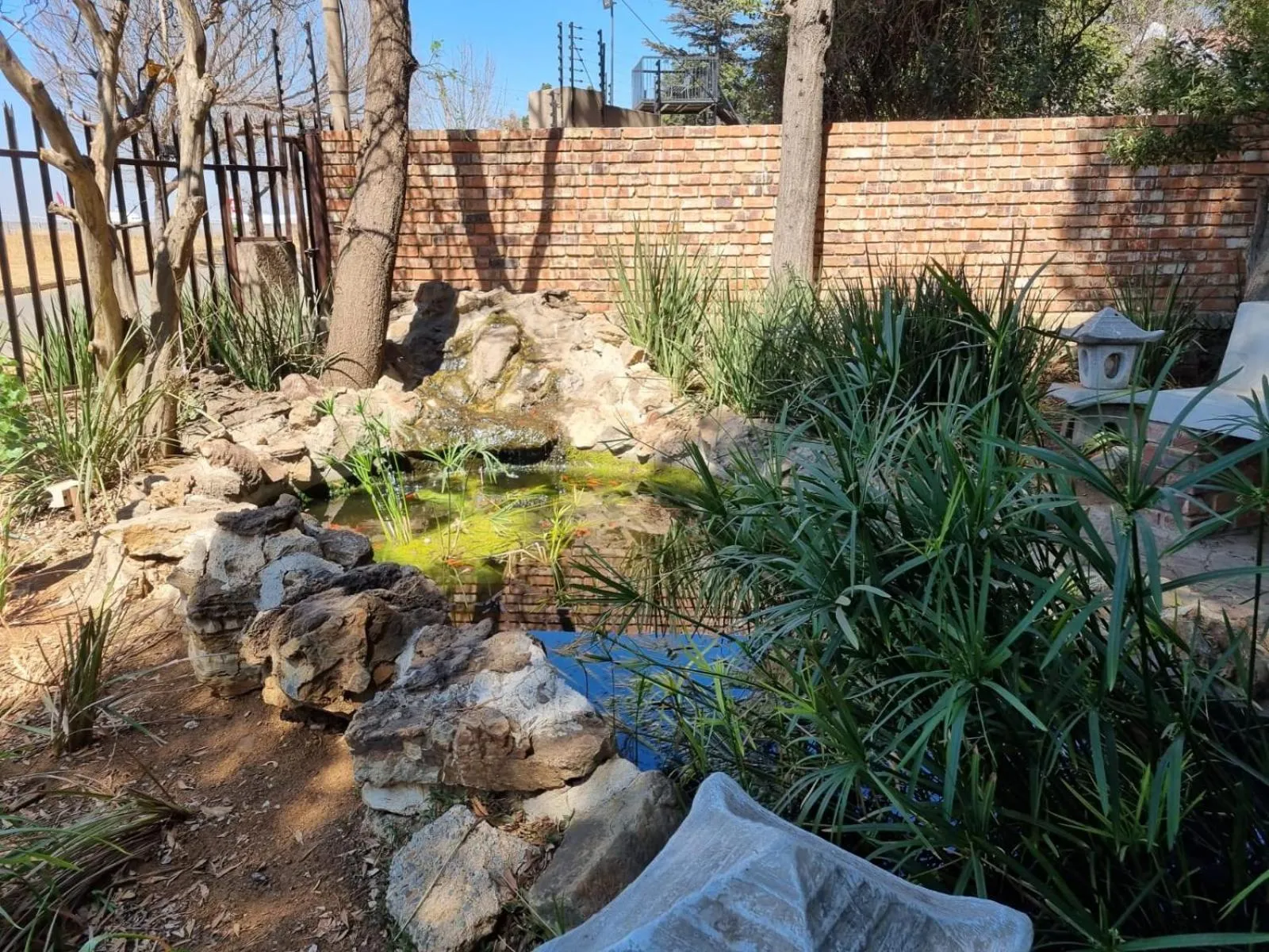 Garden in Airport Inn Bed and Breakfast