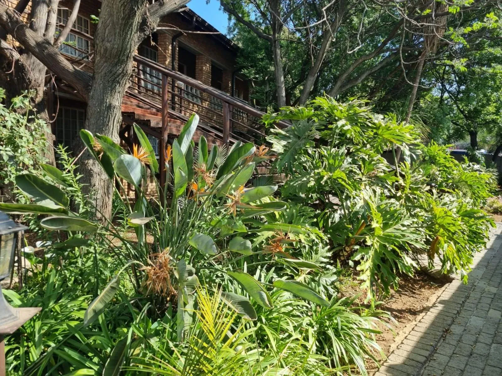 Garden view in Airport Inn Bed and Breakfast