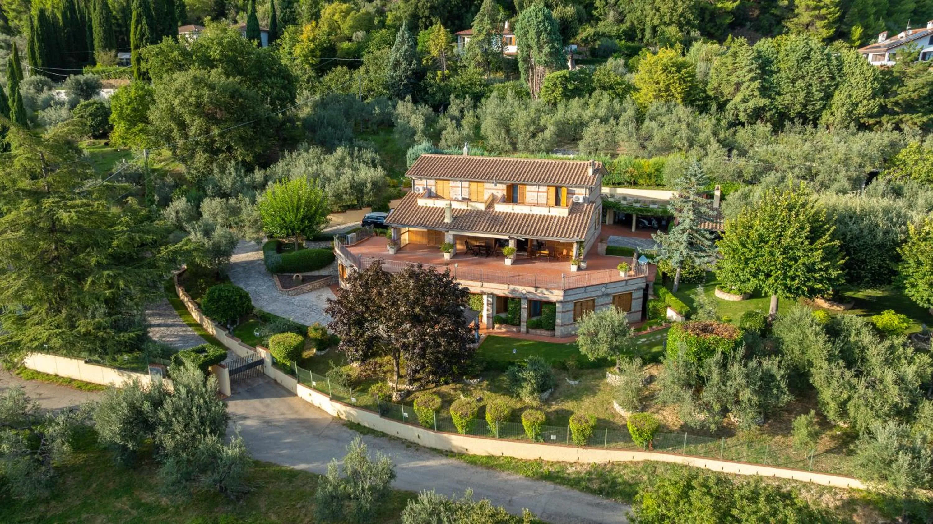 Vento tra gli ulivi