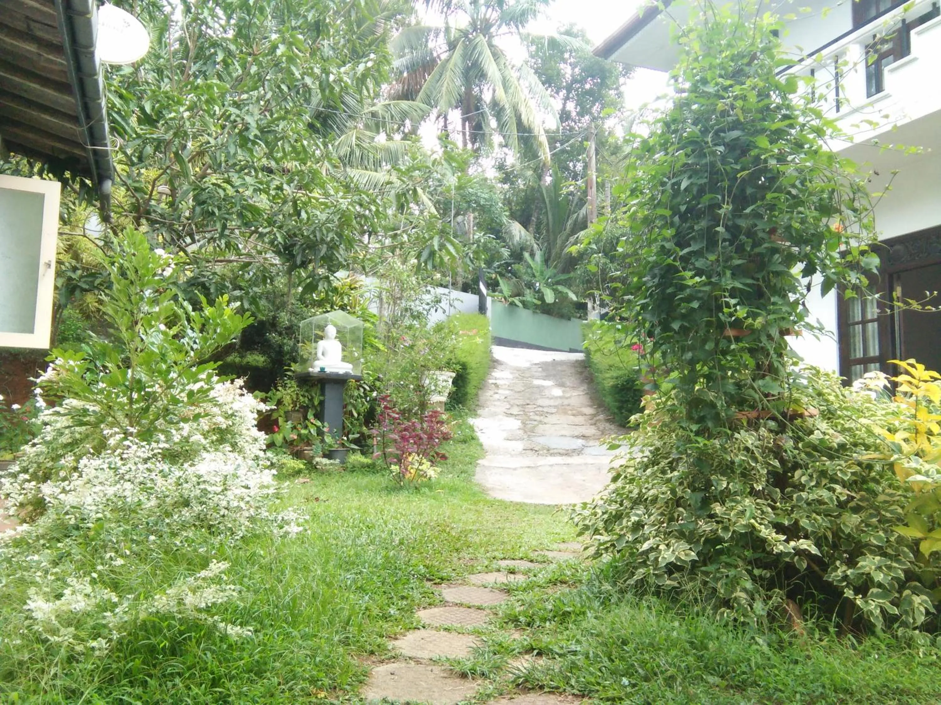 Abha Villa
