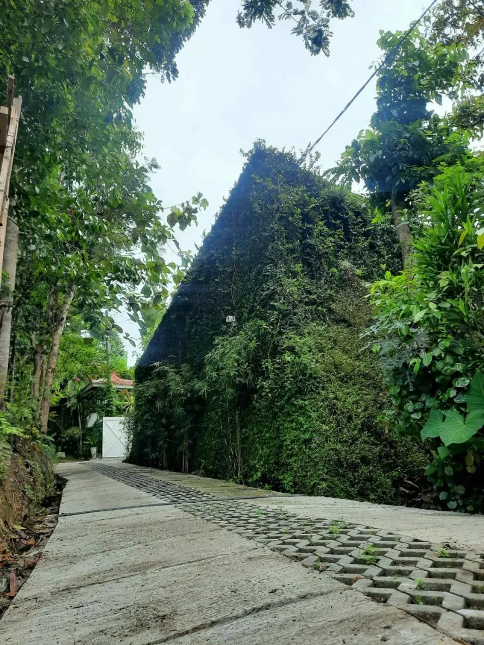 Yogyakarta Tropicana Villa