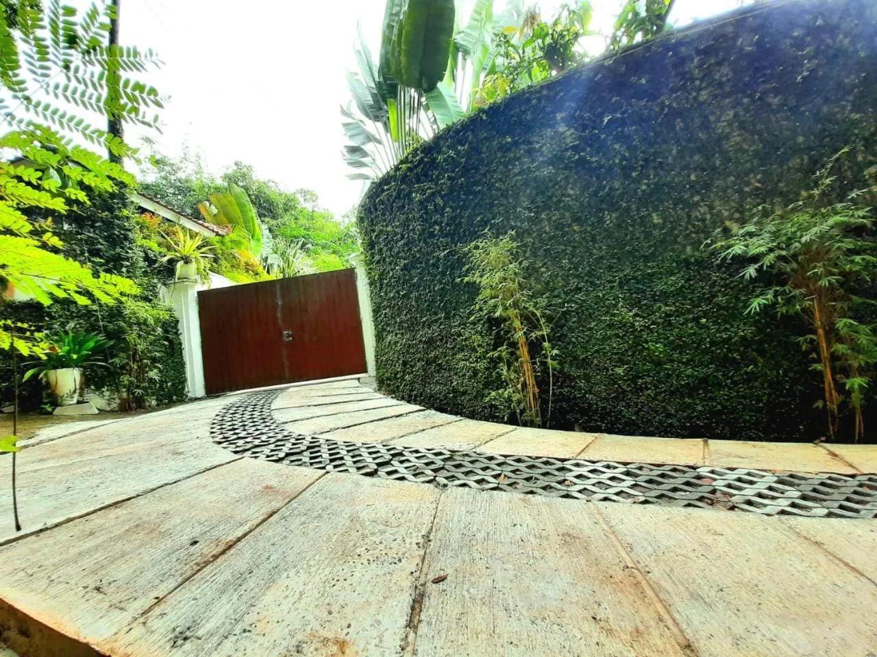 Property building in Yogyakarta Tropicana Villa