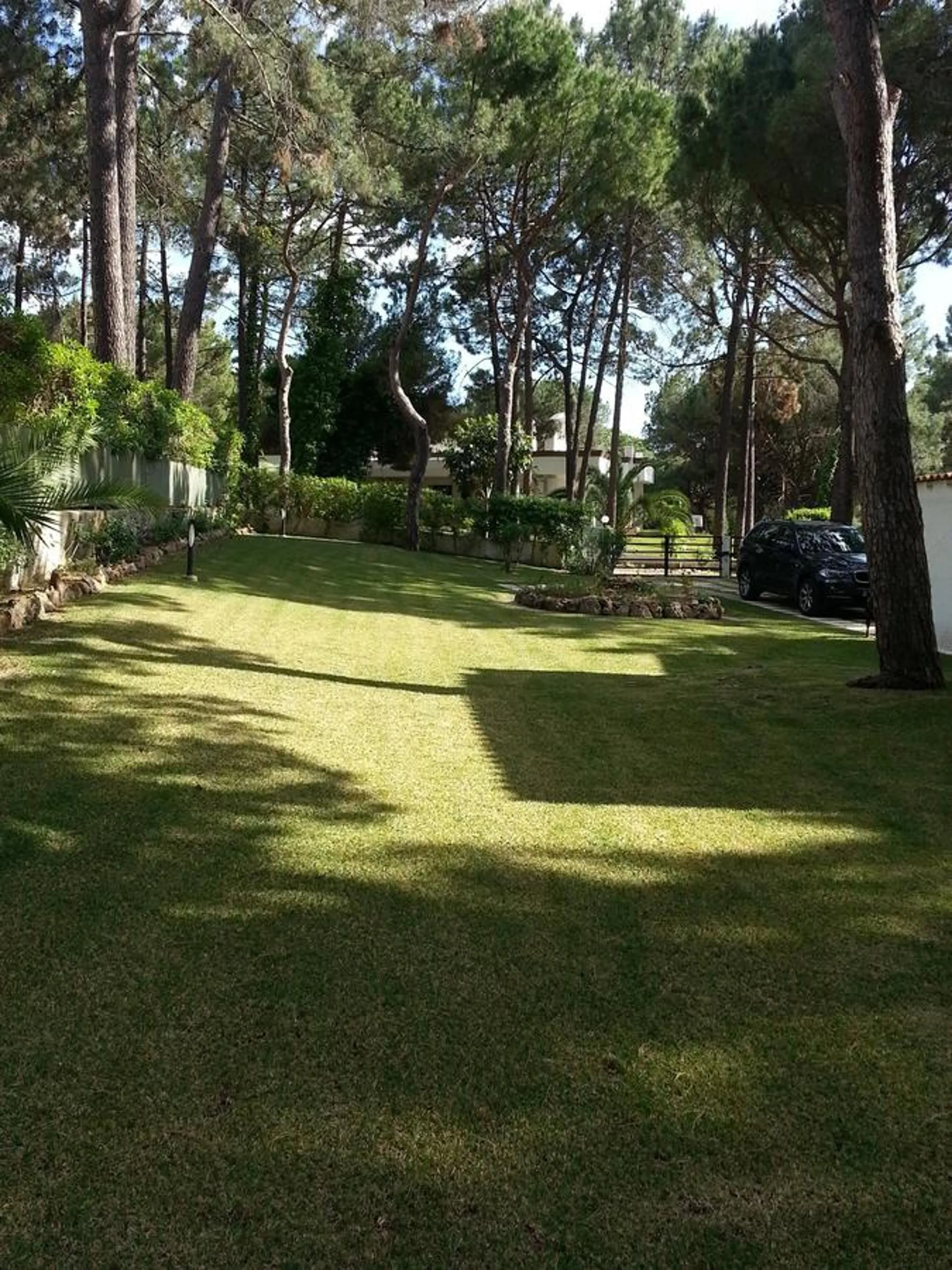 Garden in Villapinheiros