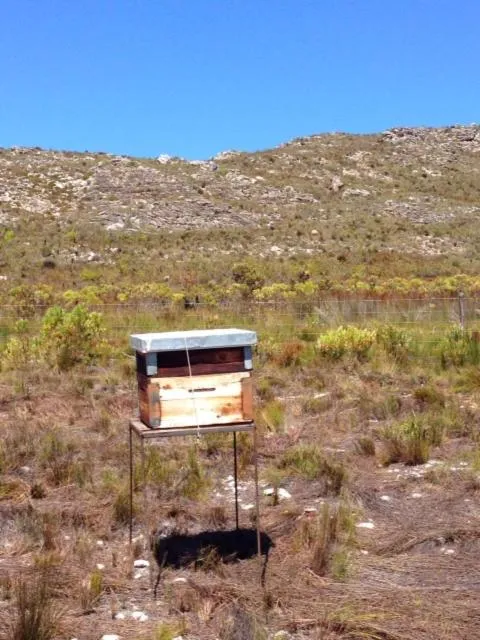 Natural landscape in Baleia Guest Lodge