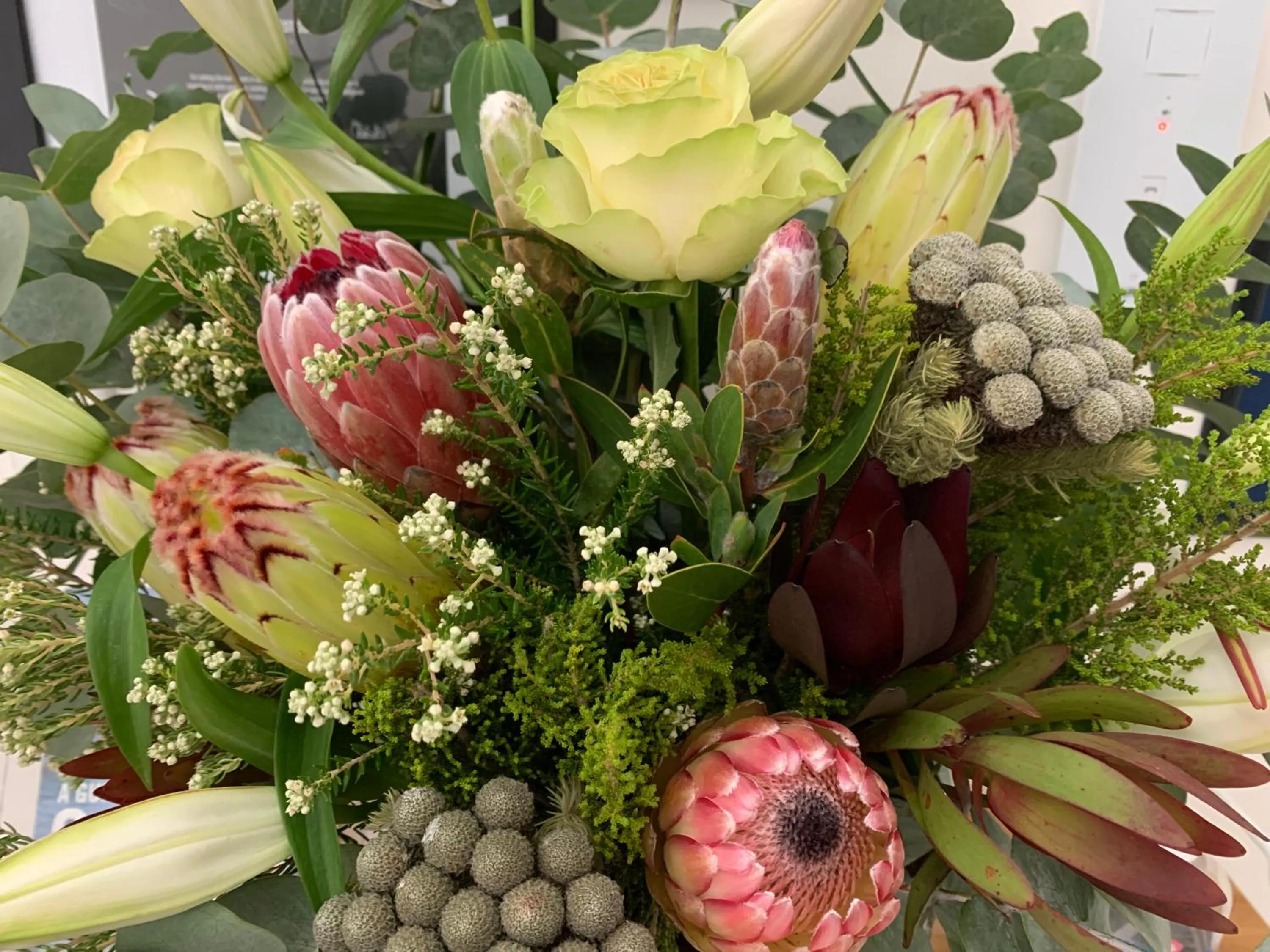 Villa Afrikana Guest Suites by Knysna Paradise Collection