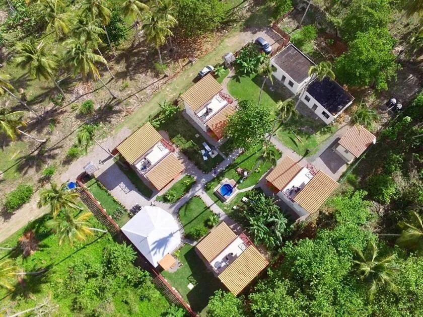 View (from property/room) in 21 Palms