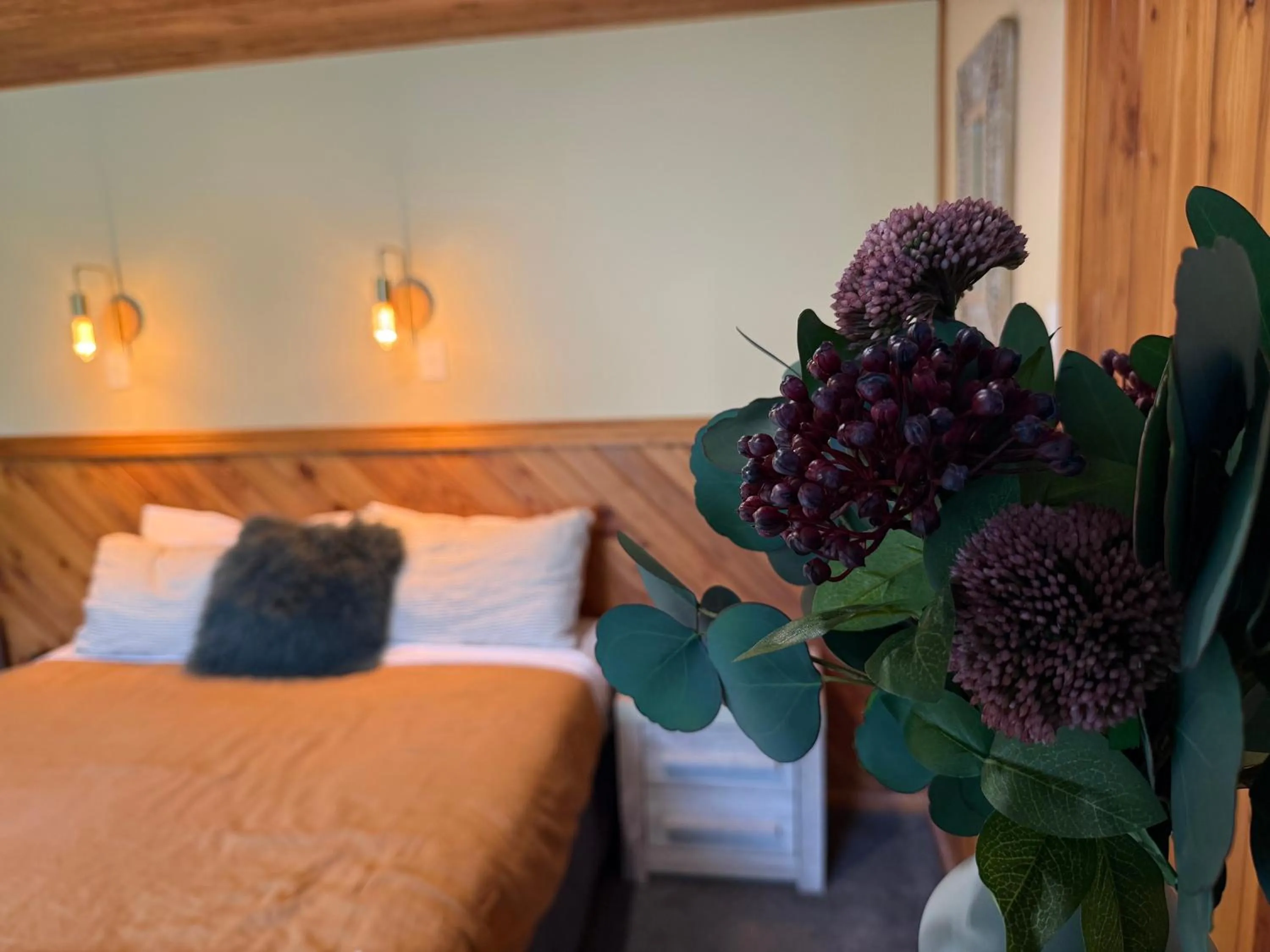 Bed in Te Anau Lakefront Backpackers