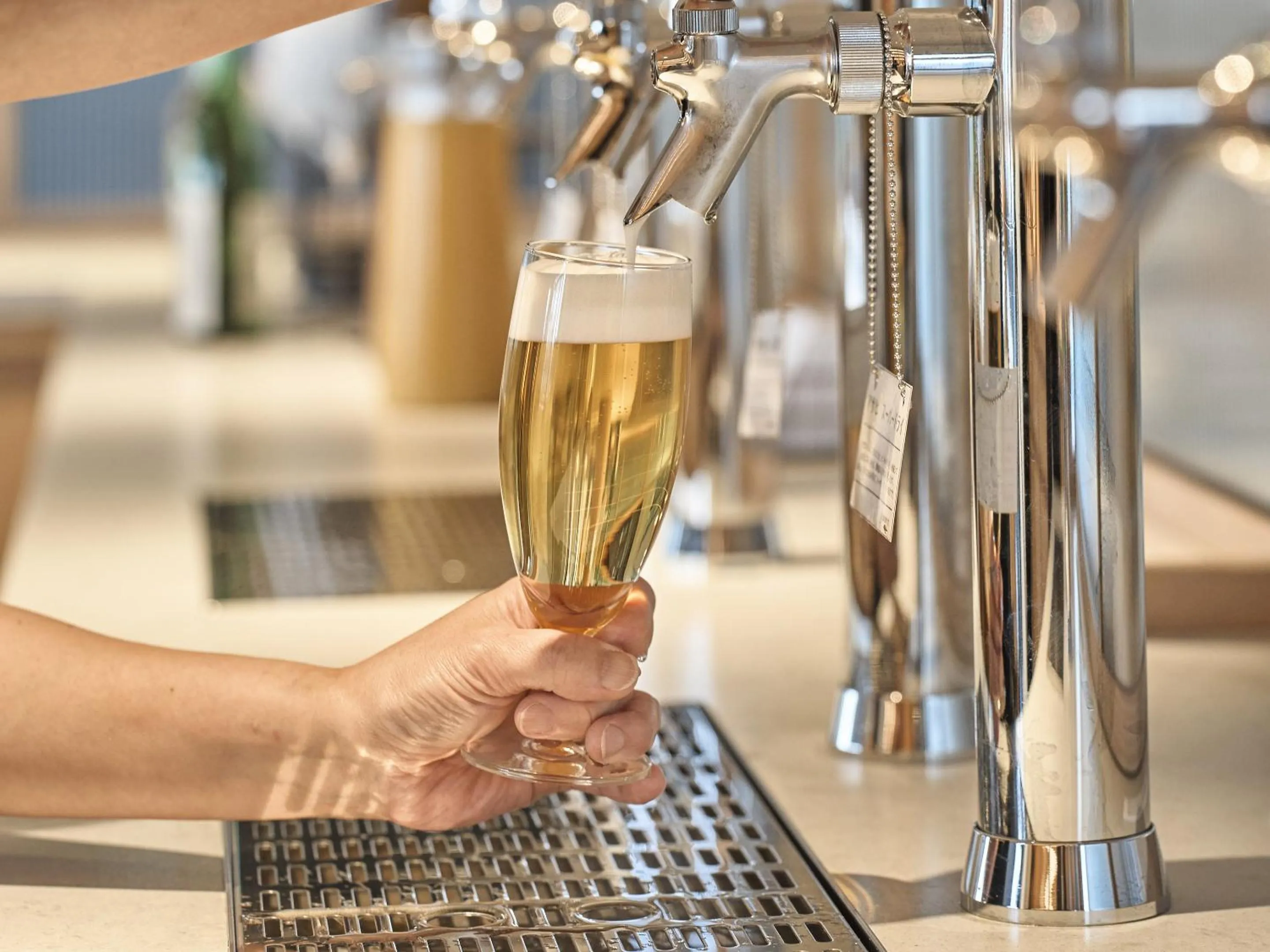 Lounge or bar in Setre Highland Villa Himeji