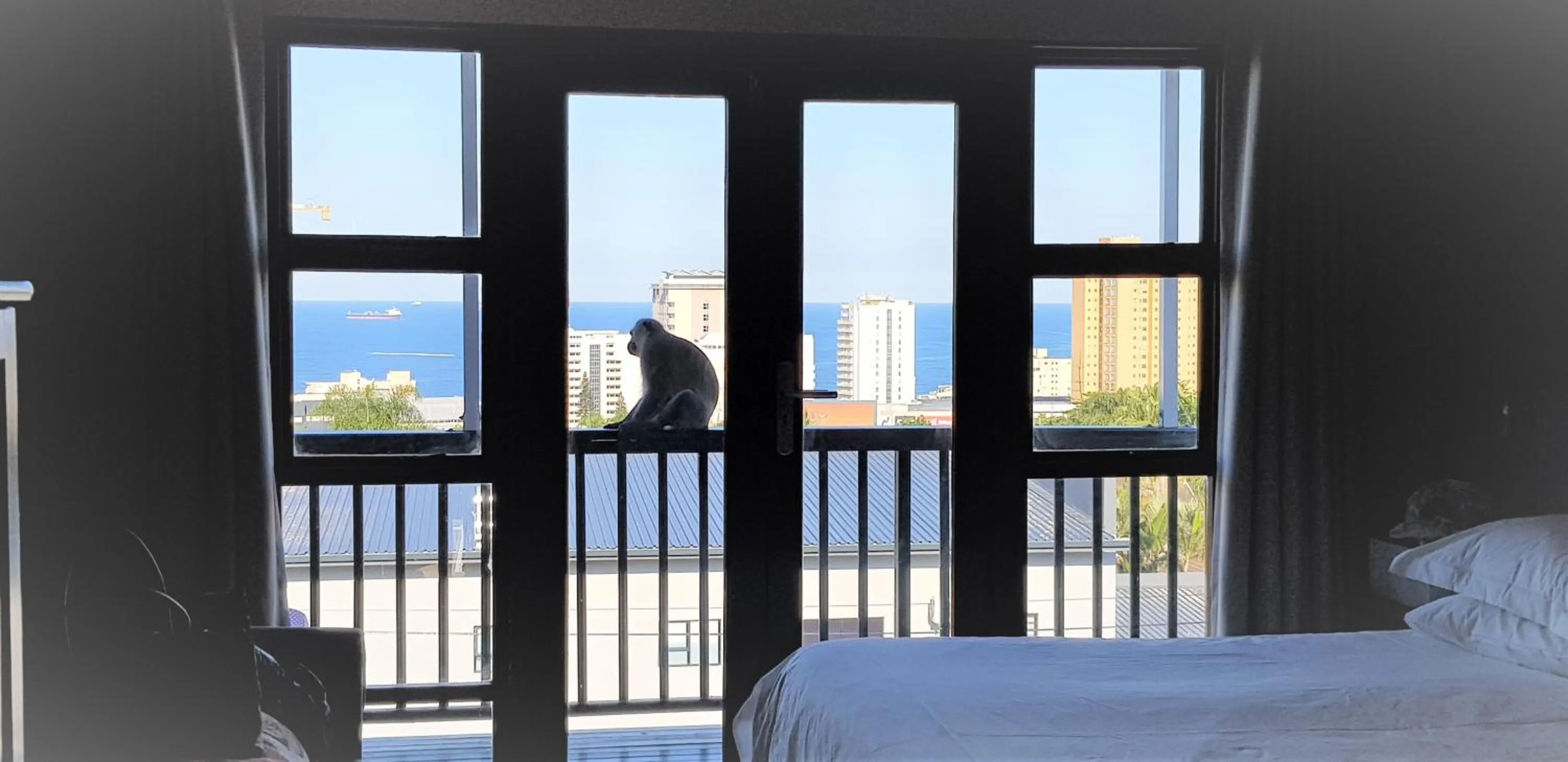View (from property/room), Bed in Crooked Tree Cottage