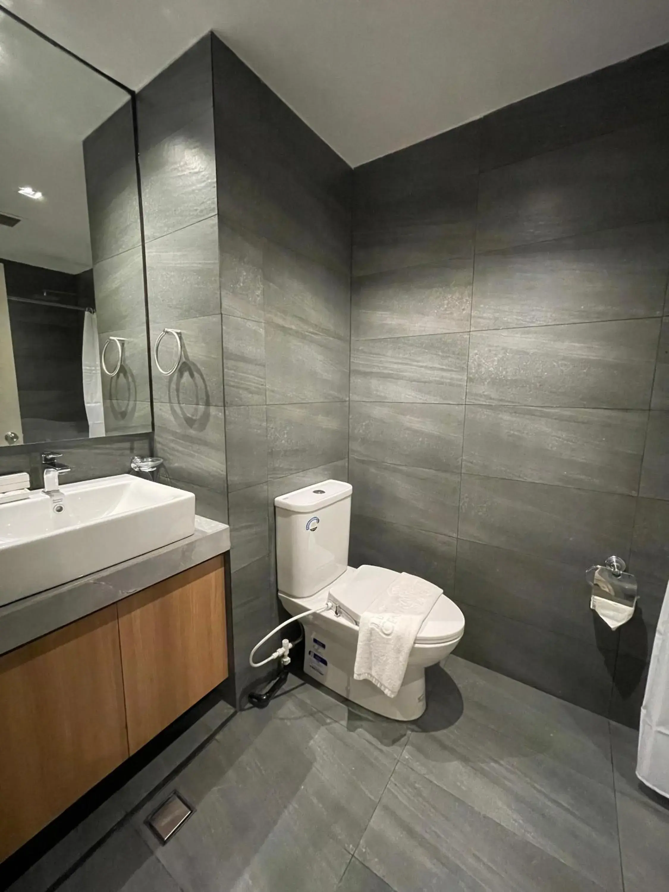 Deluxe Double Room in Luisita Central Park Hotel Deluxe Double Room in Luisita Central Park Hotel