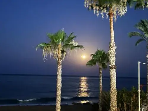 El Flamenco El Flamenco