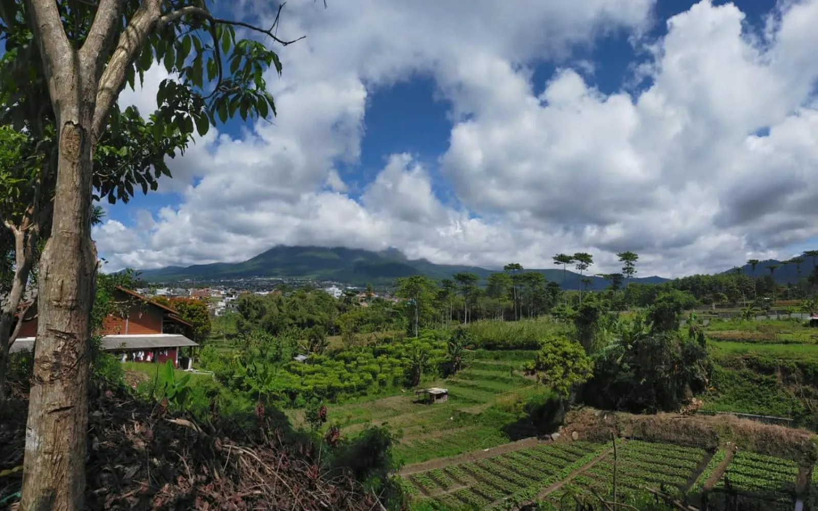 Transformer Center Hotel