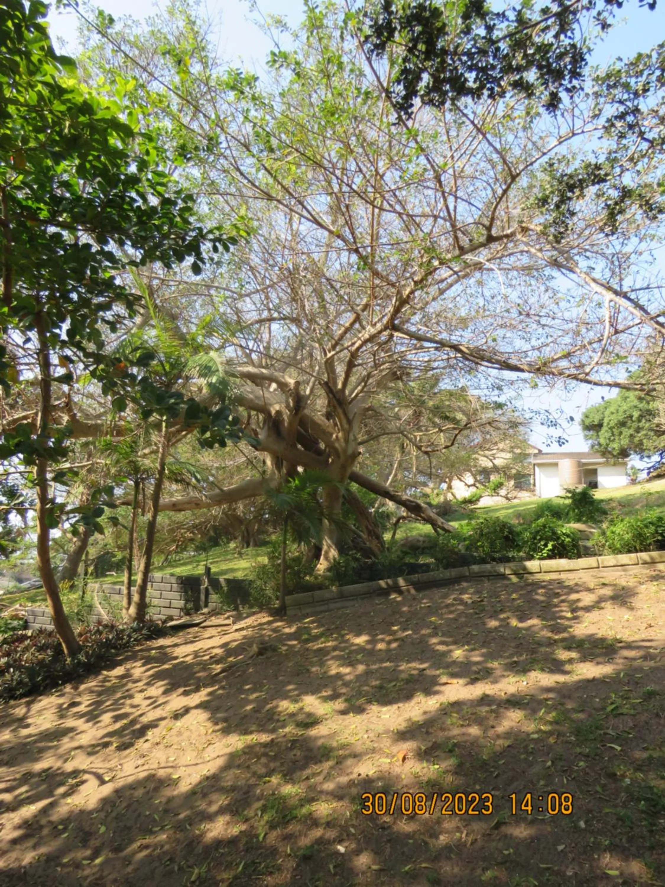 Garden in Beachcomber Bay Guest House In South Africa