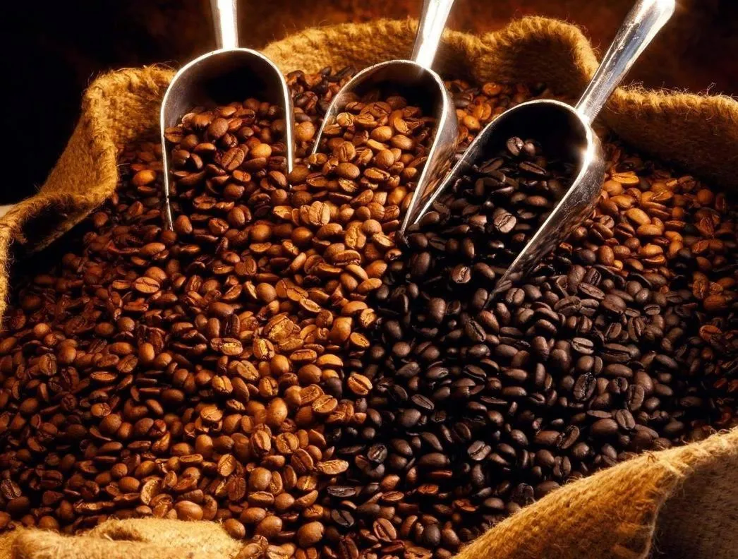 Drinks in Hotel Korona