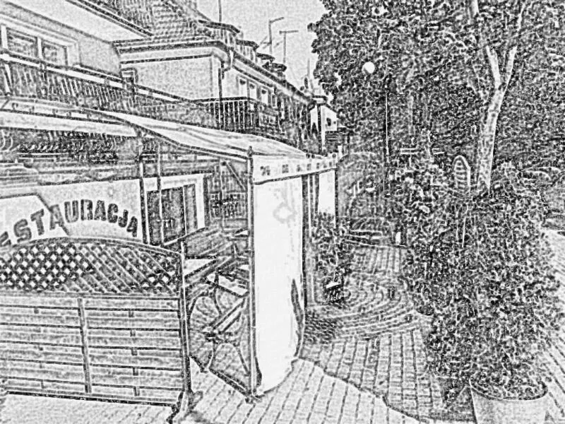 Garden in Hotel Korona