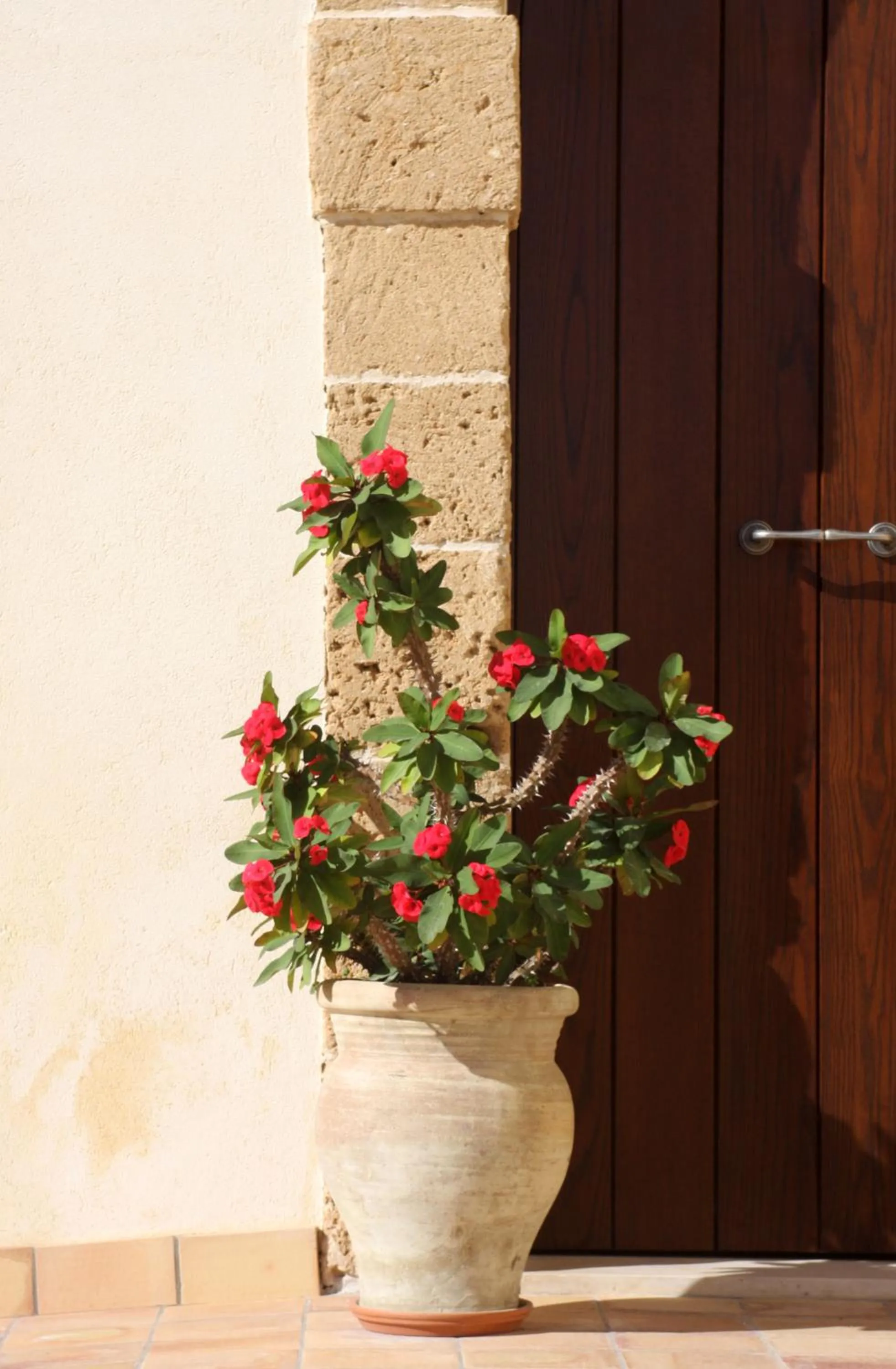 Decorative detail in L'Antico Trappeto