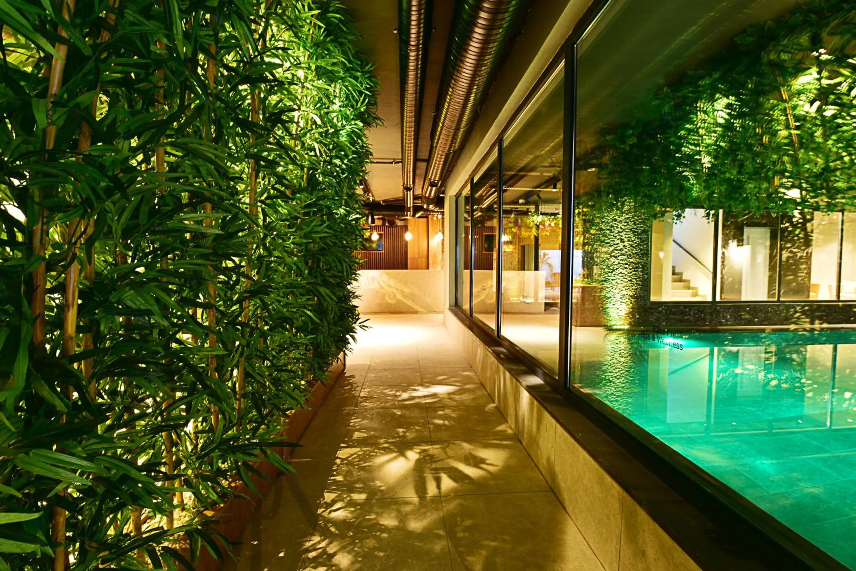 Spa and wellness centre/facilities in Jasmin Elite Residence & SPA