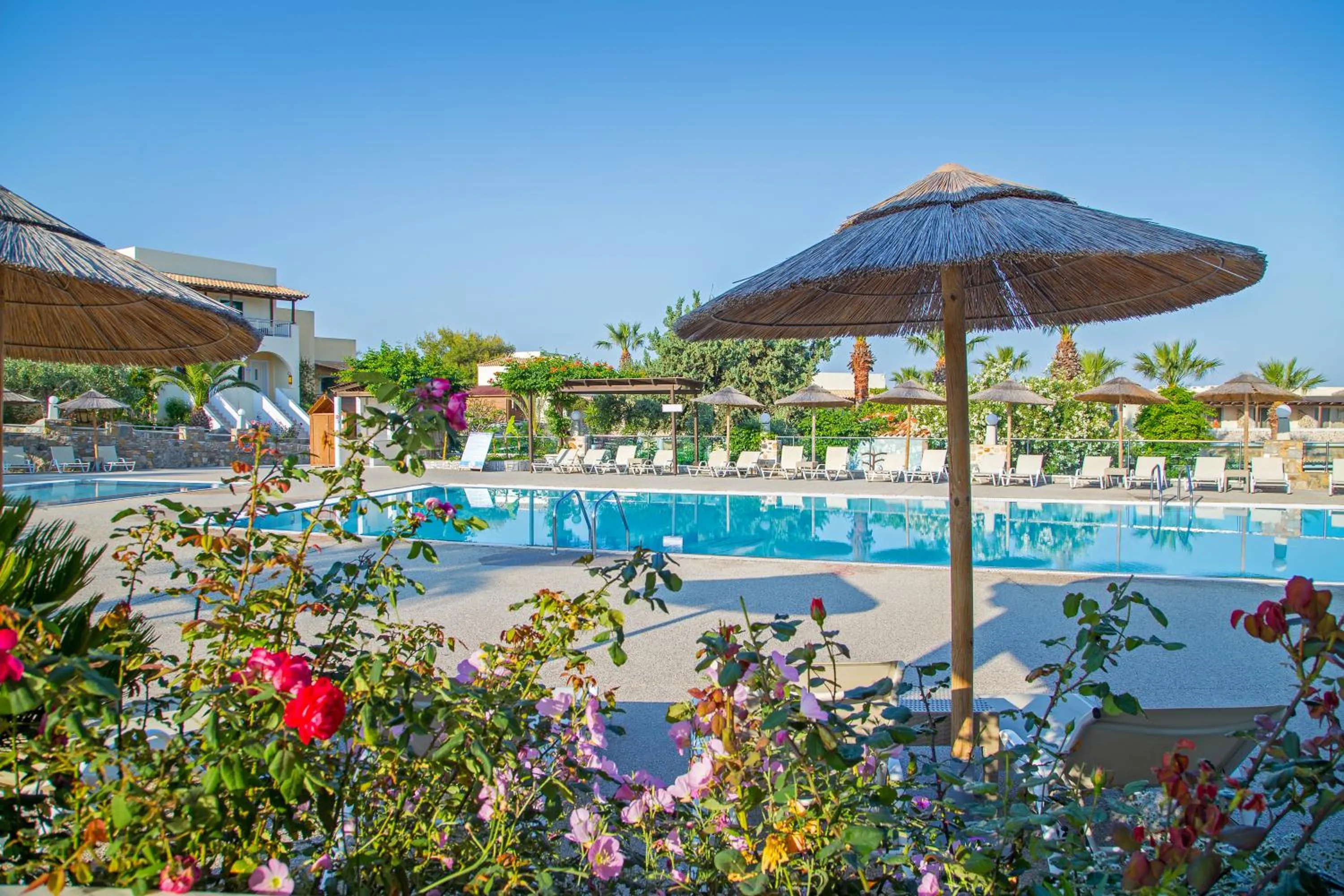 Pool view in Kouros Palace Active Lifestyle Hotel
