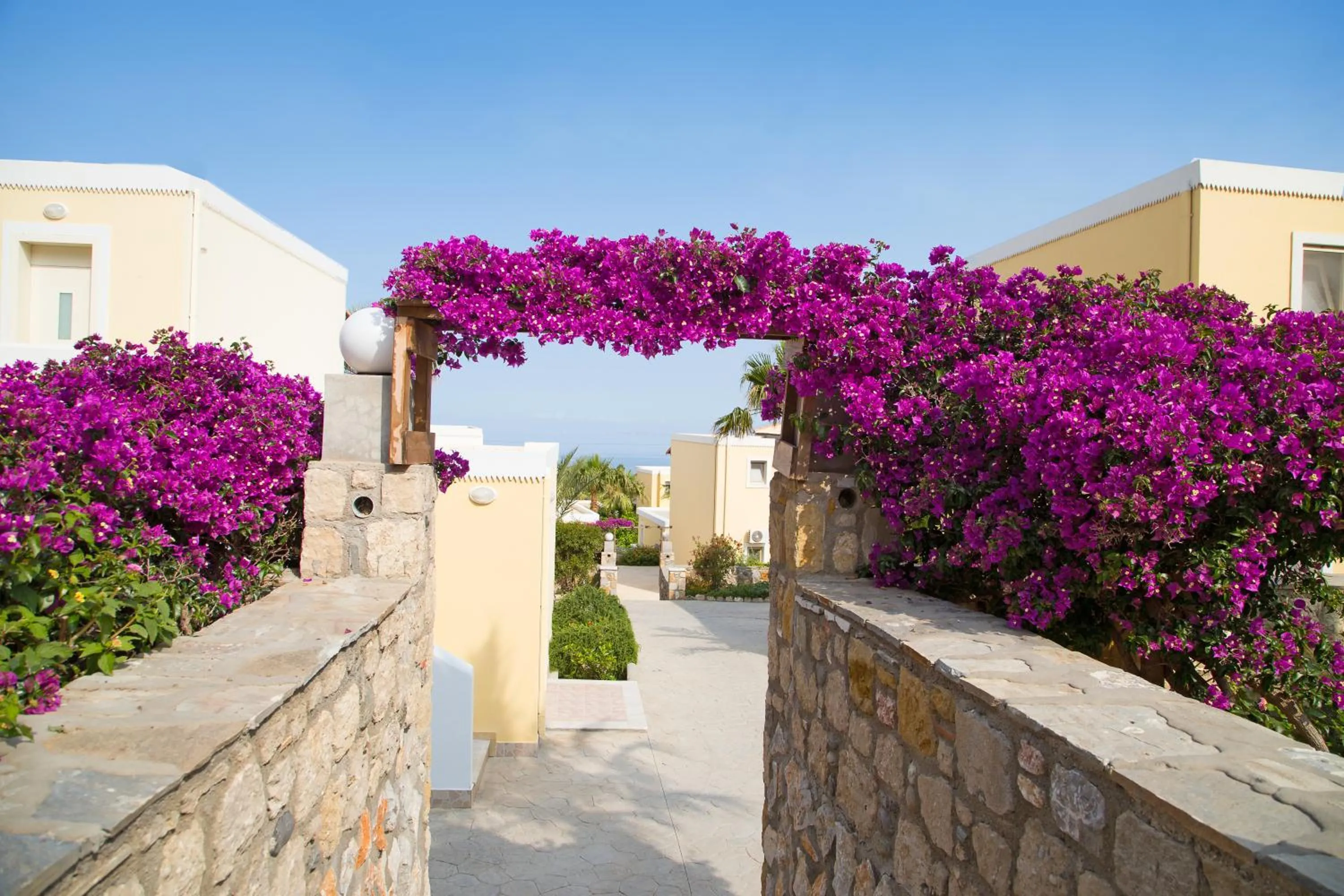 Garden in Kouros Palace Active Lifestyle Hotel