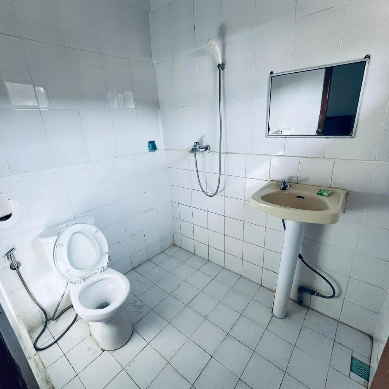 Double Room in Hotel Segara Kedisan Kintamani