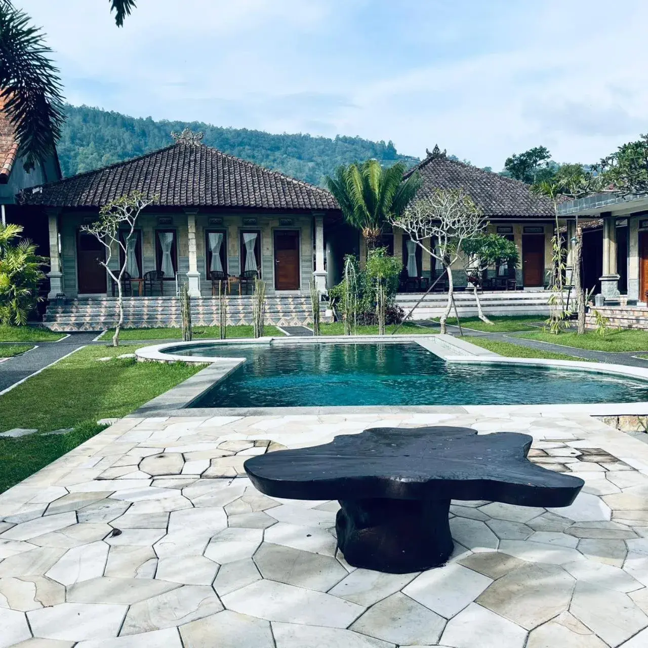 Standard Double Room - single occupancy in Hotel Segara Kedisan Kintamani Standard Double Room - single occupancy in Hotel Segara Kedisan Kintamani