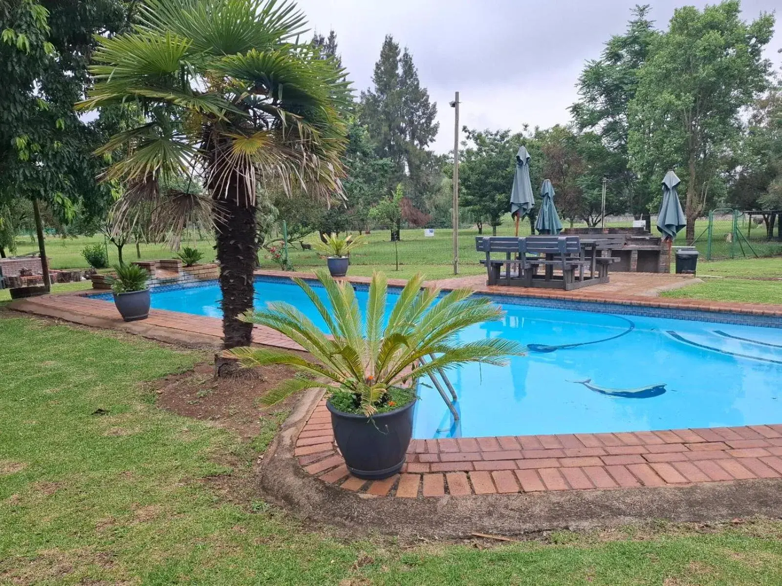 Swimming pool in Airport Bird & Game Lodge Swimming pool in Airport Bird & Game Lodge