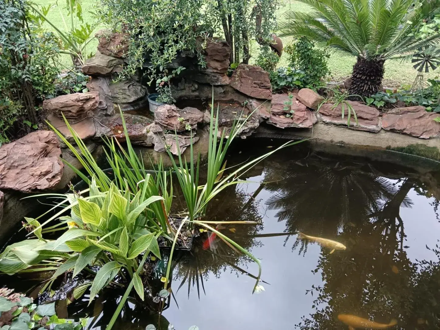 Garden in Airport Bird & Game Lodge Garden in Airport Bird & Game Lodge