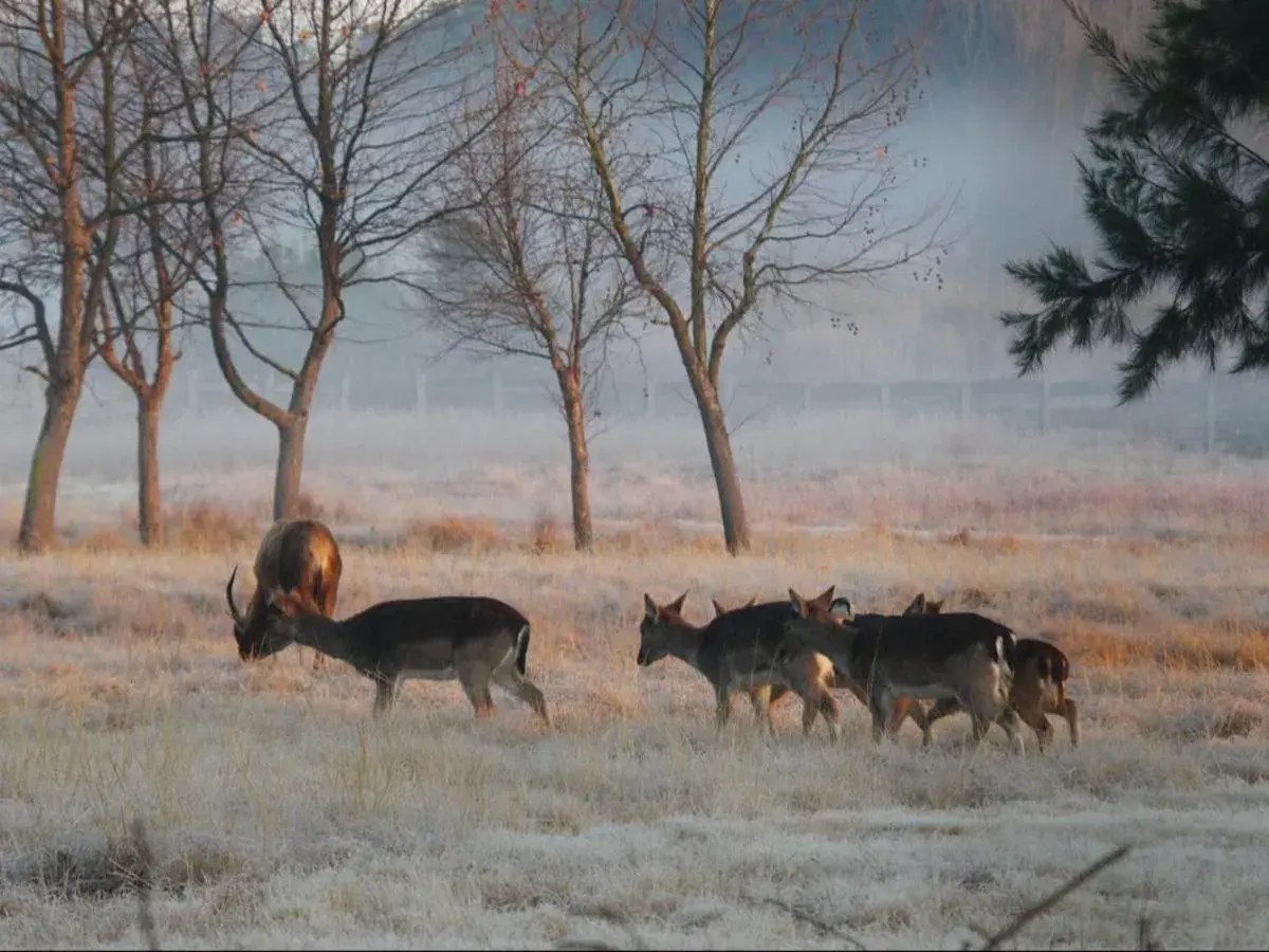 Natural landscape in Airport Bird & Game Lodge Natural landscape in Airport Bird & Game Lodge