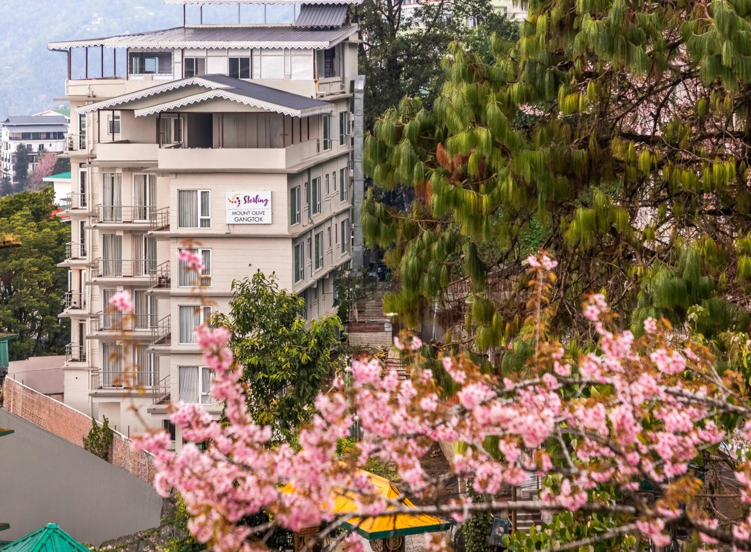 Property building in Sterling Mount Olive Gangtok