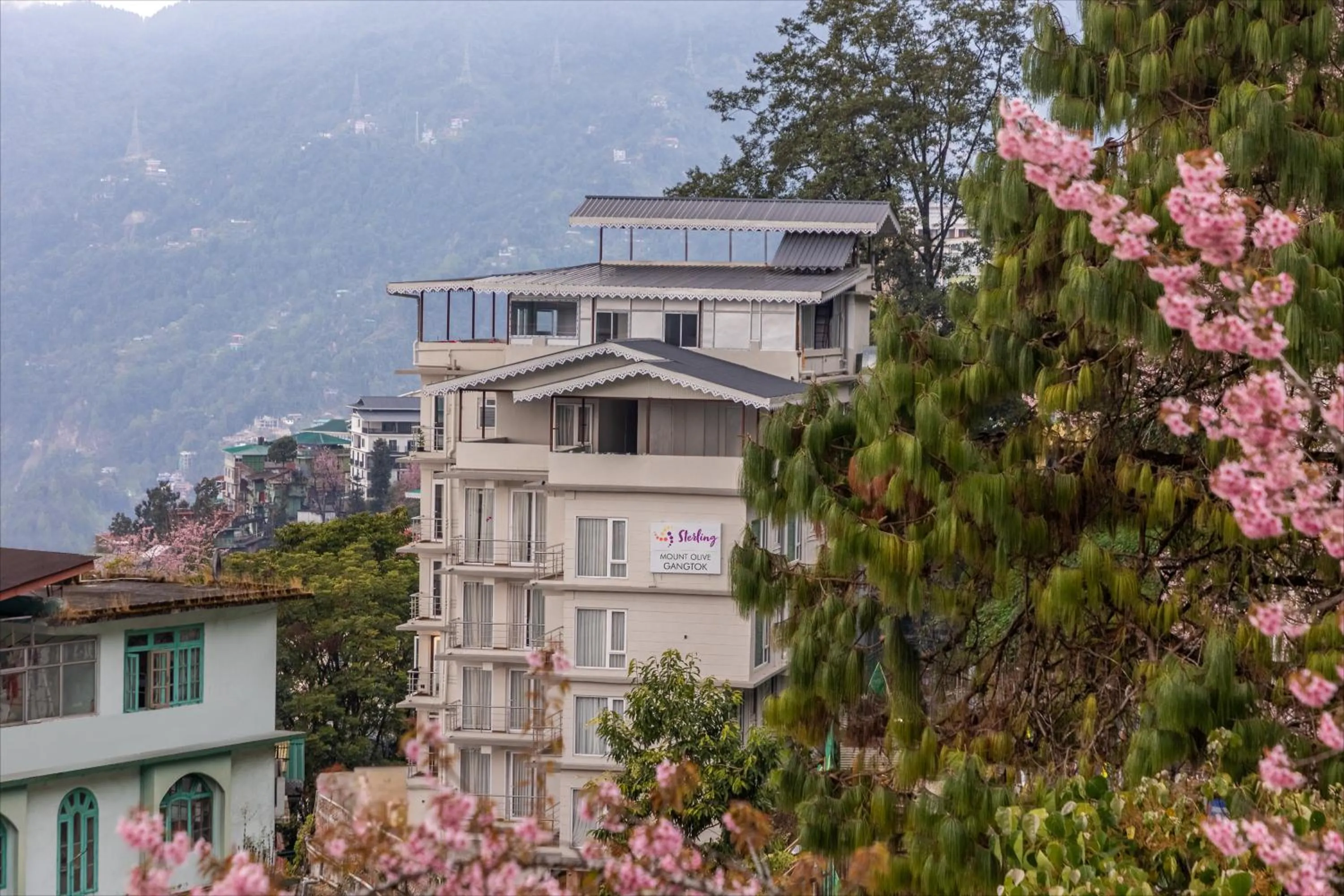 Property building in Sterling Mount Olive Gangtok