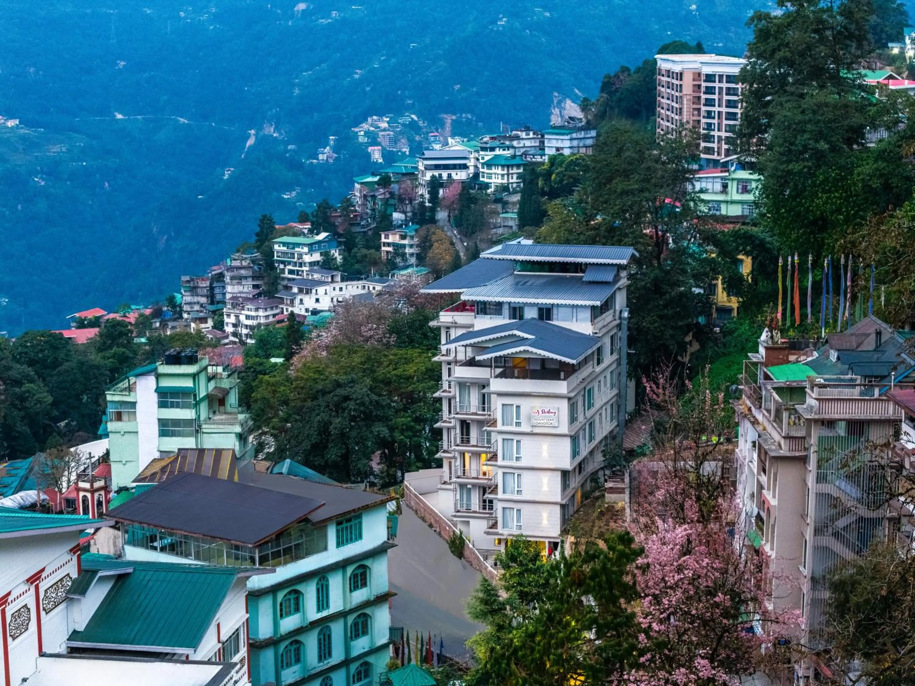 Property building in Sterling Mount Olive Gangtok