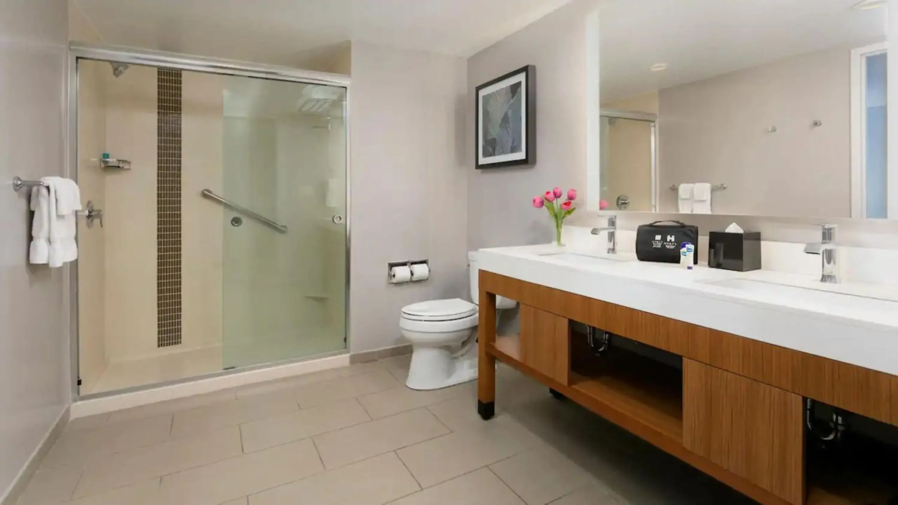 Queen Room with Sofa Bed and Accessible Tub - Bay View in Hyatt Place San Juan Queen Room with Sofa Bed and Accessible Tub - Bay View in Hyatt Place San Juan