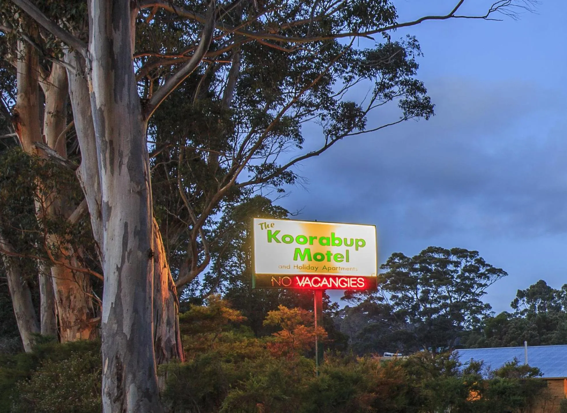 Night in The Koorabup Motel