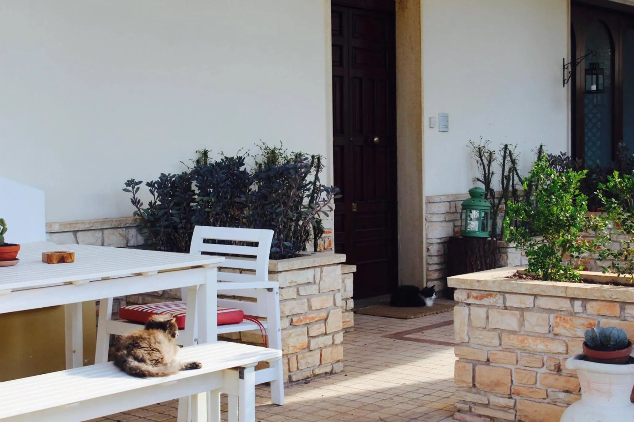 Gli Allori - Fuga dalla città