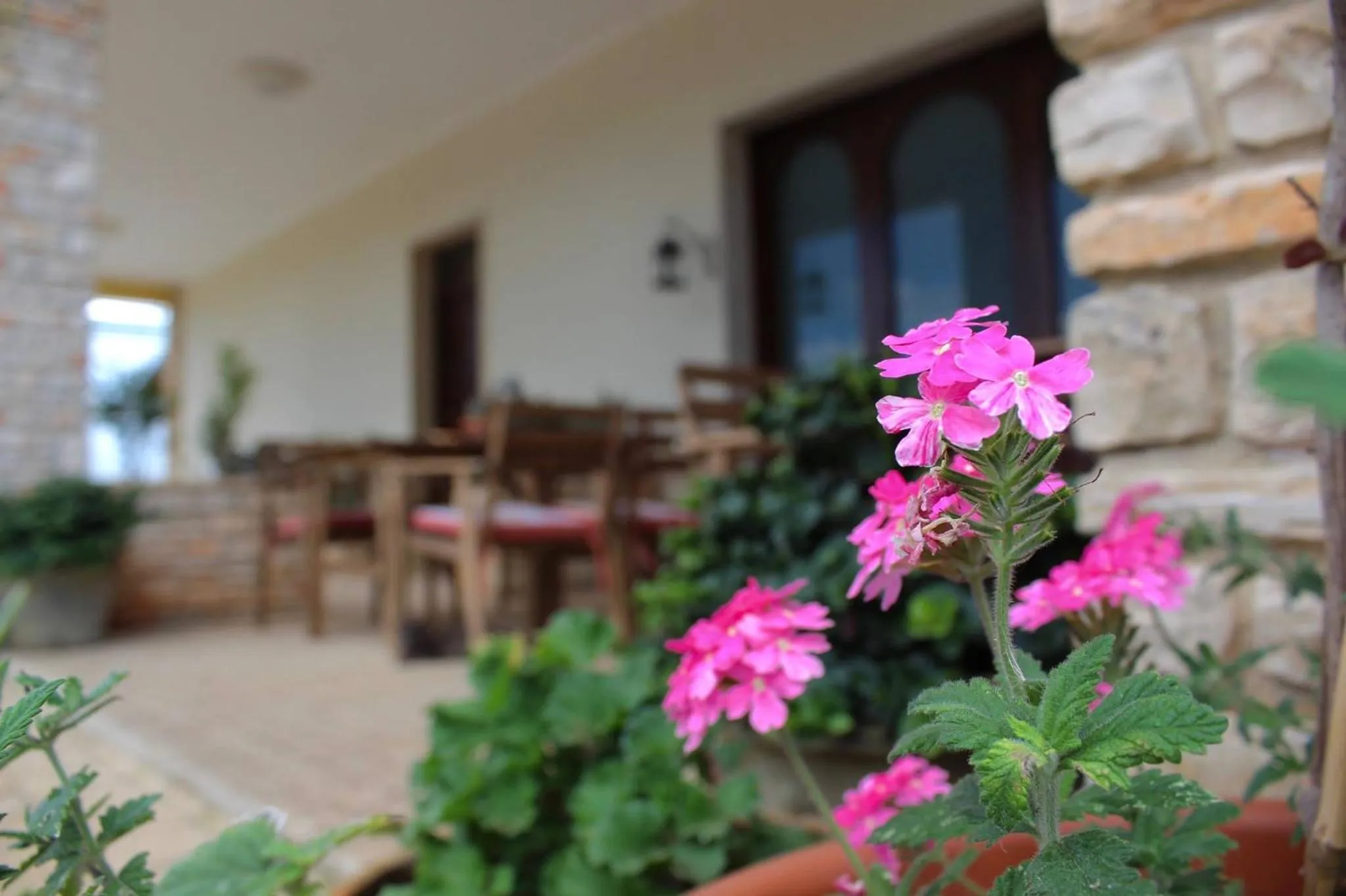 Gli Allori - Fuga dalla città