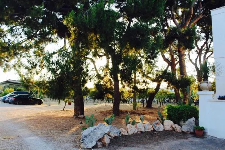 Gli Allori - Fuga dalla città