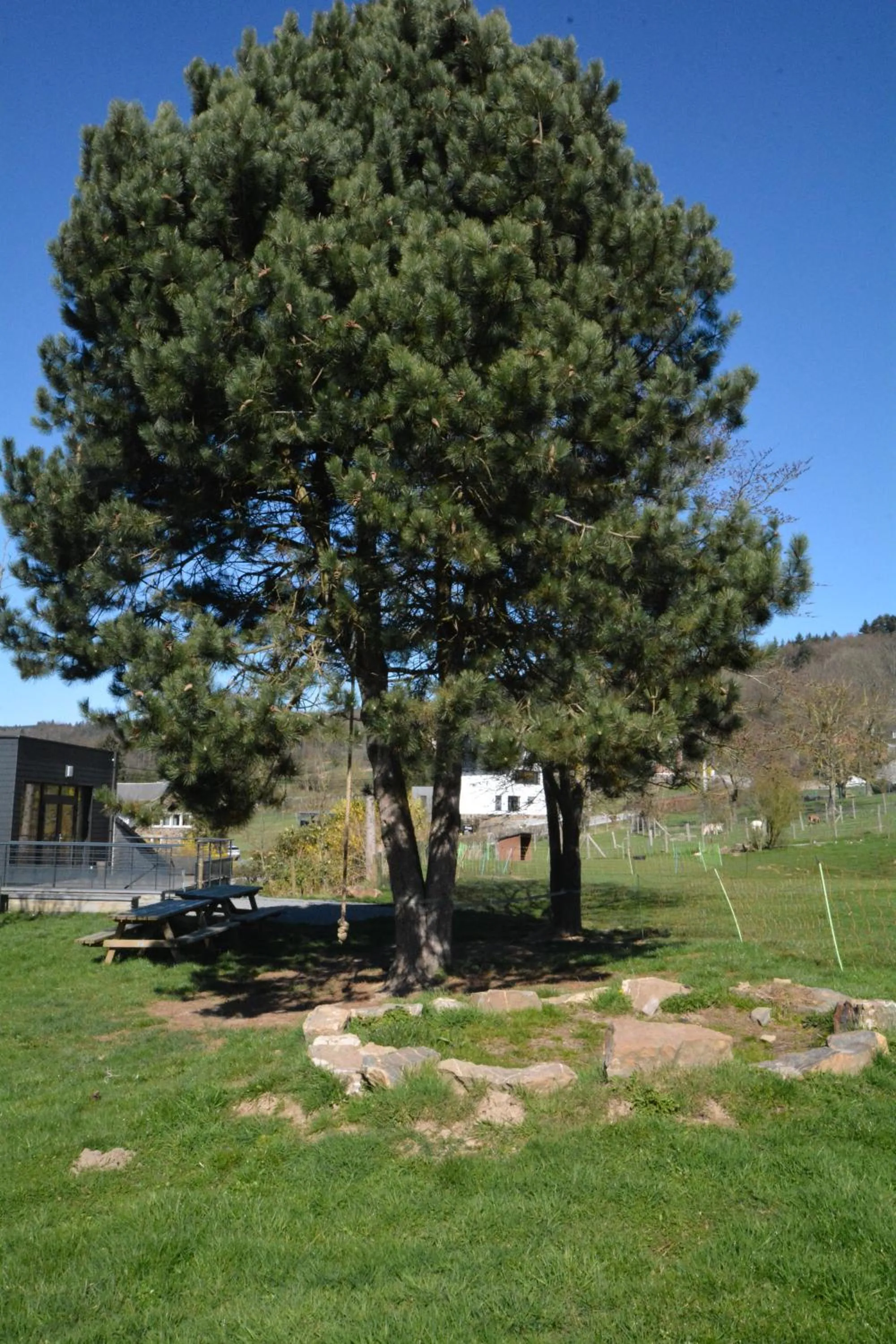 Garden in Le Fagotin - Youth hostel