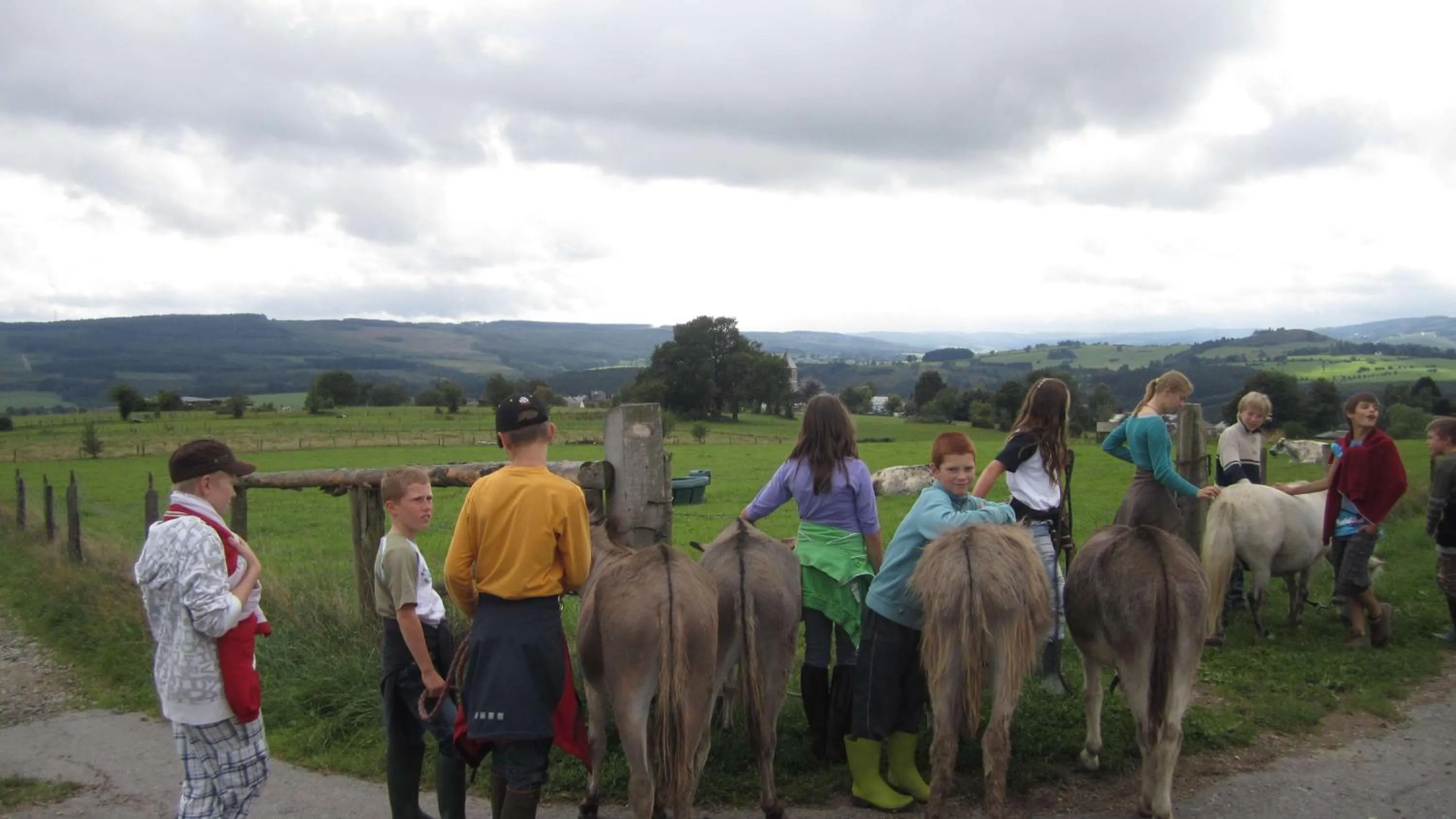 Horse-riding in Le Fagotin - Youth hostel
