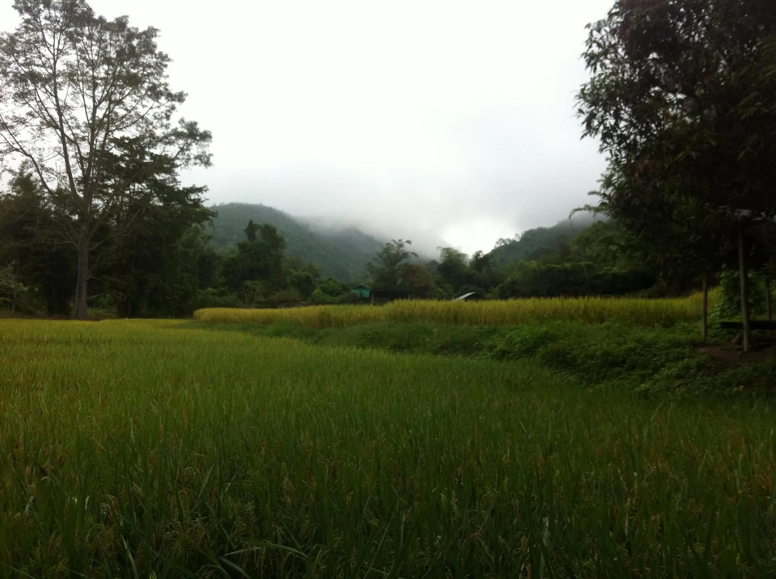 Off site in Chang Pai Hill