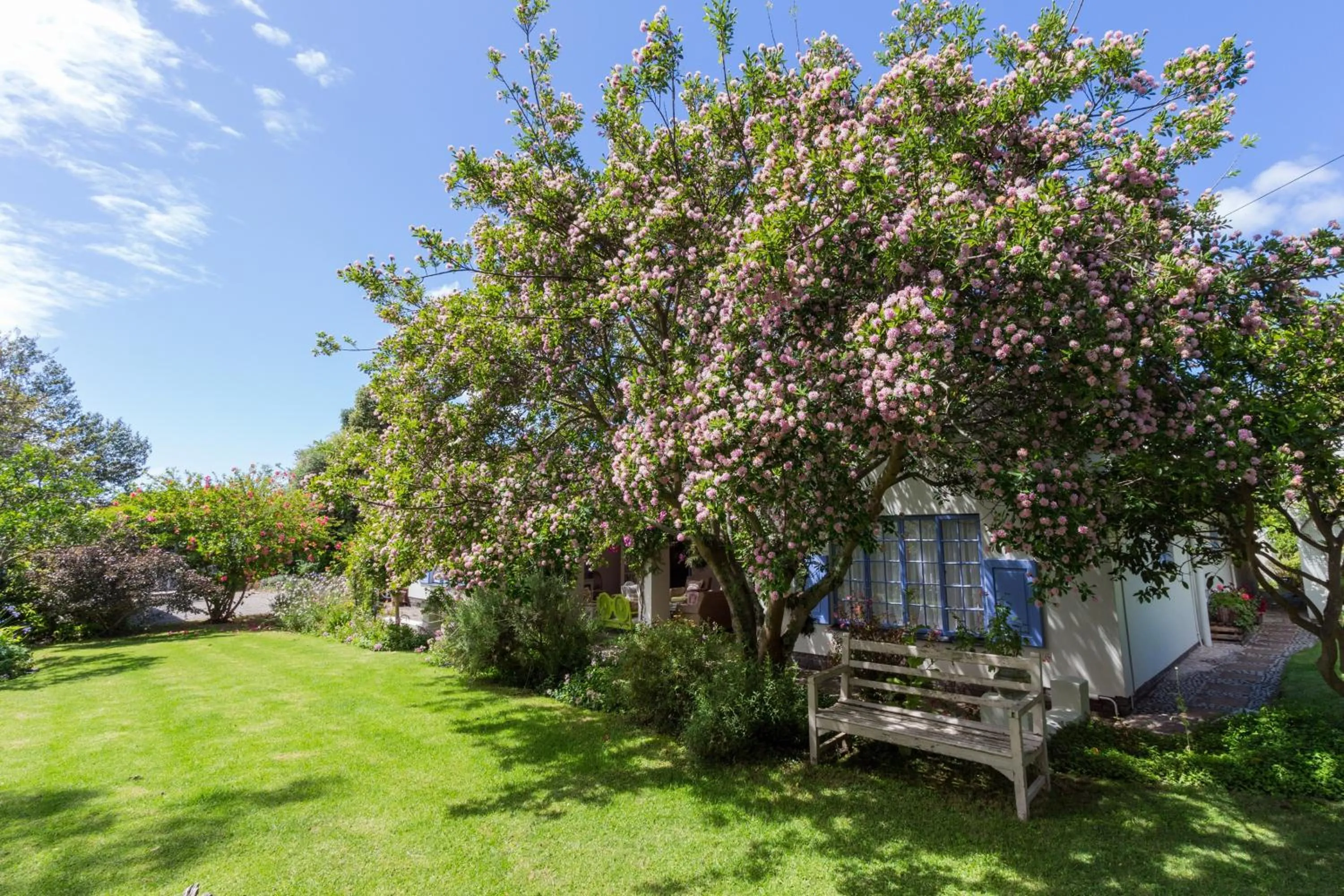 Twin Room - single occupancy in Cornerway House