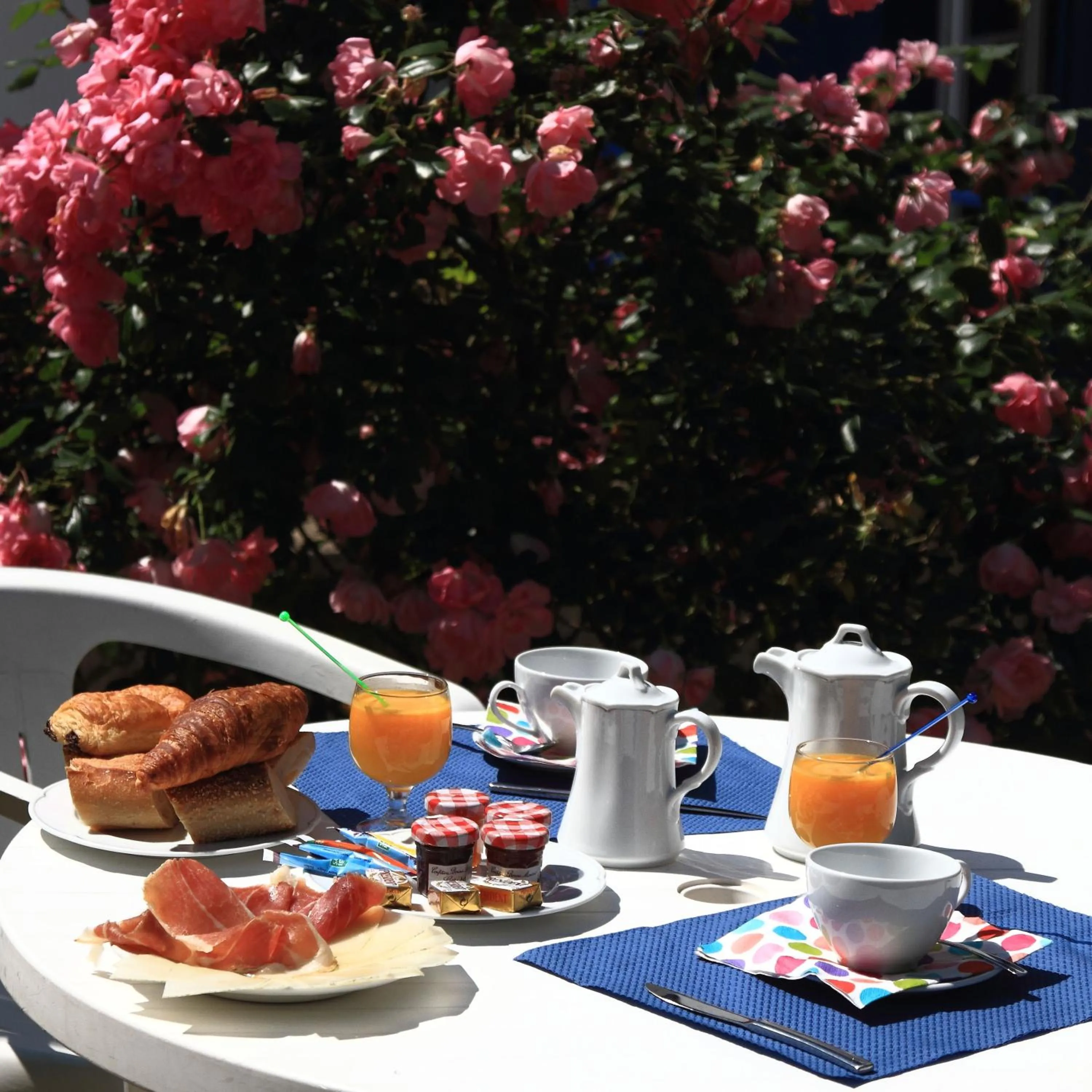 Garden in Hôtel Ohartzia