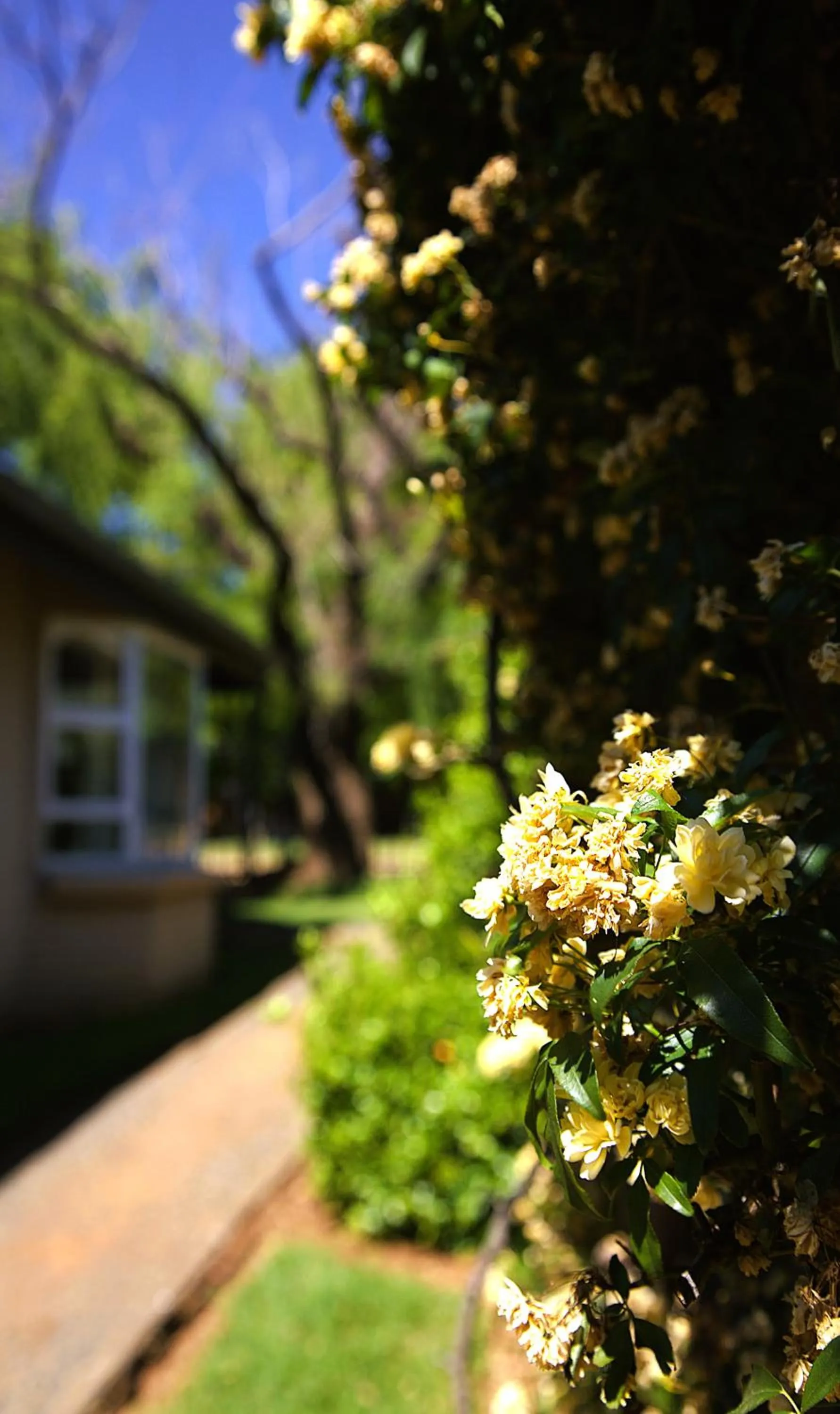 Upper House Guesthouse