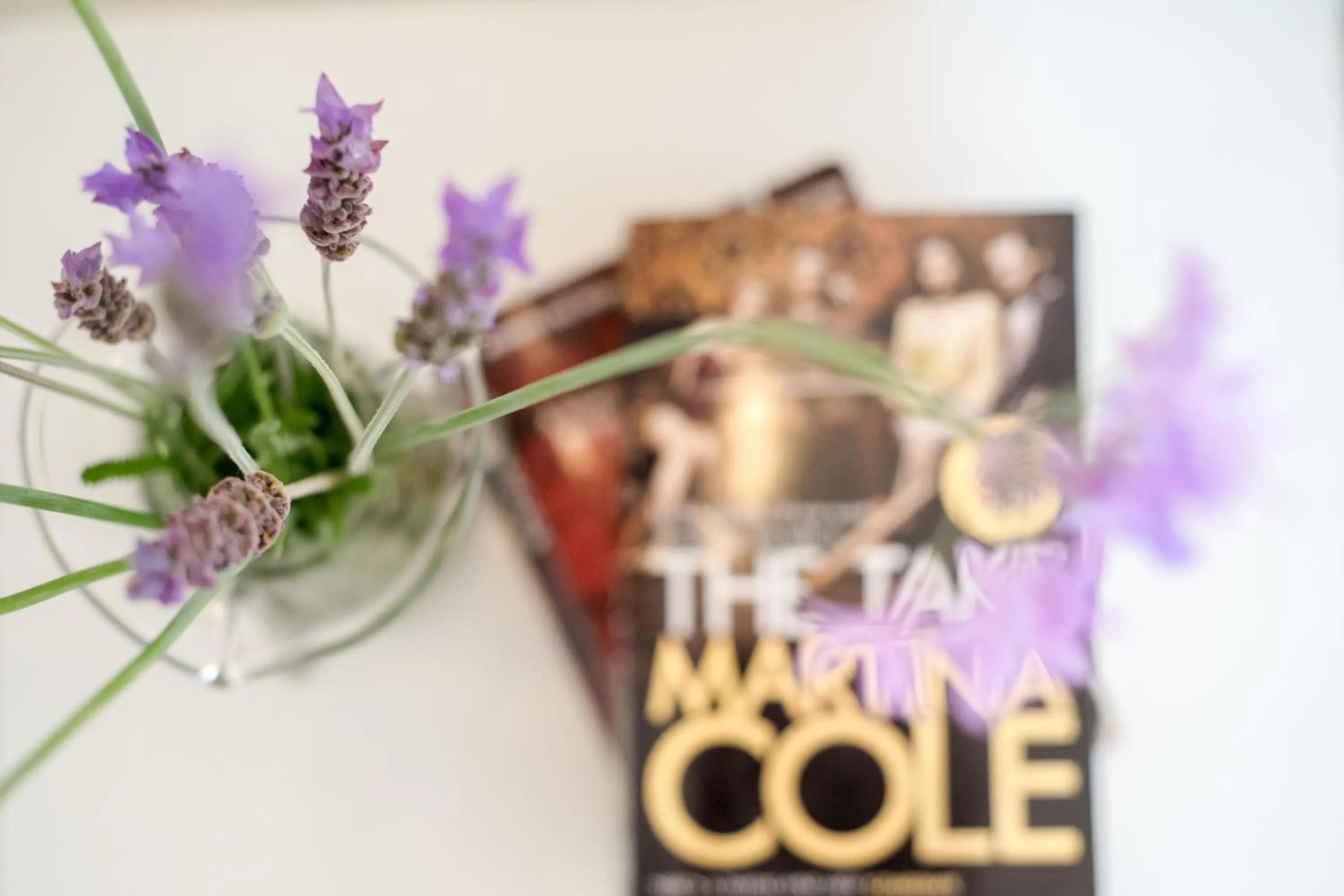 Decorative detail in Le Palme