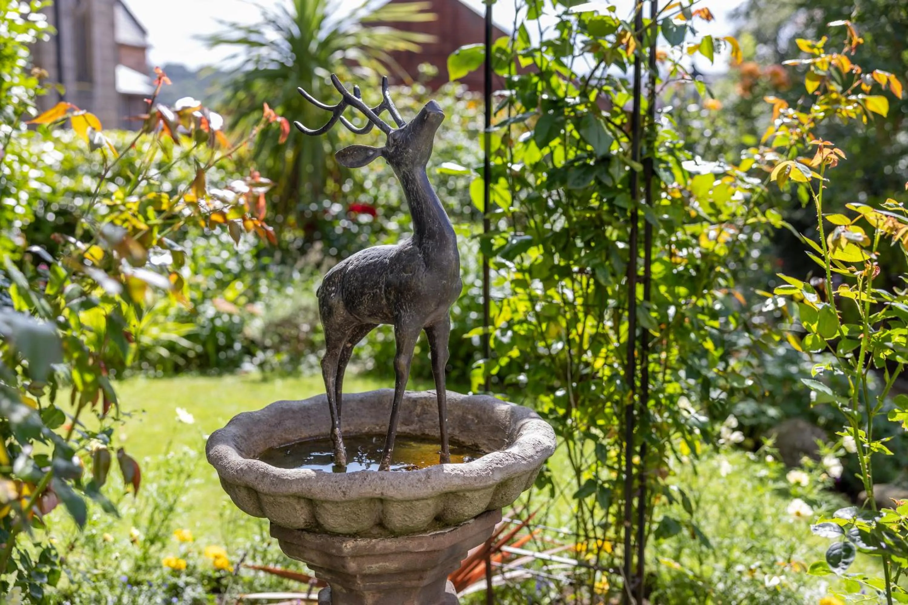 Garden in Highgate House