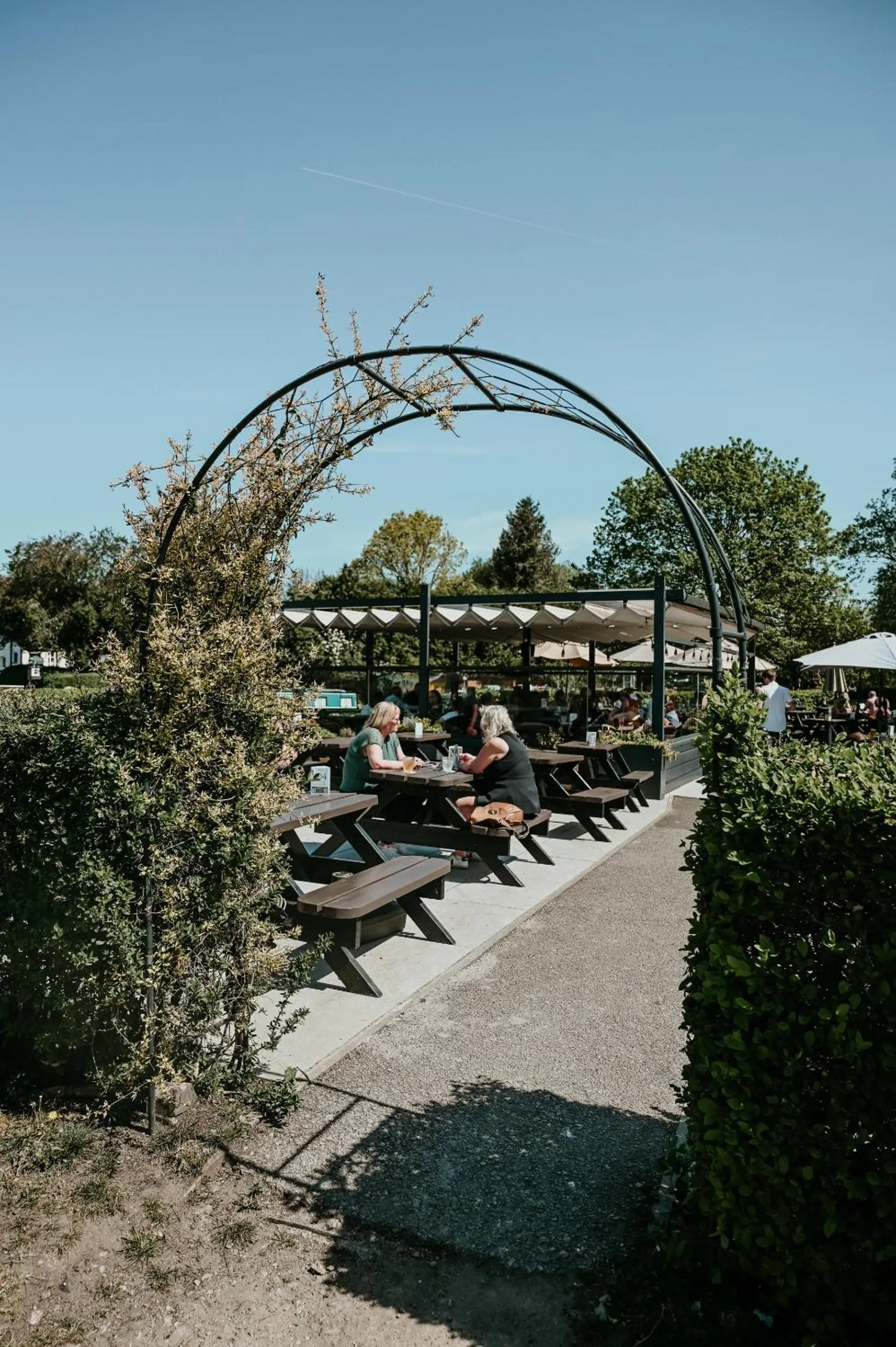 Other in The Dragon Willington